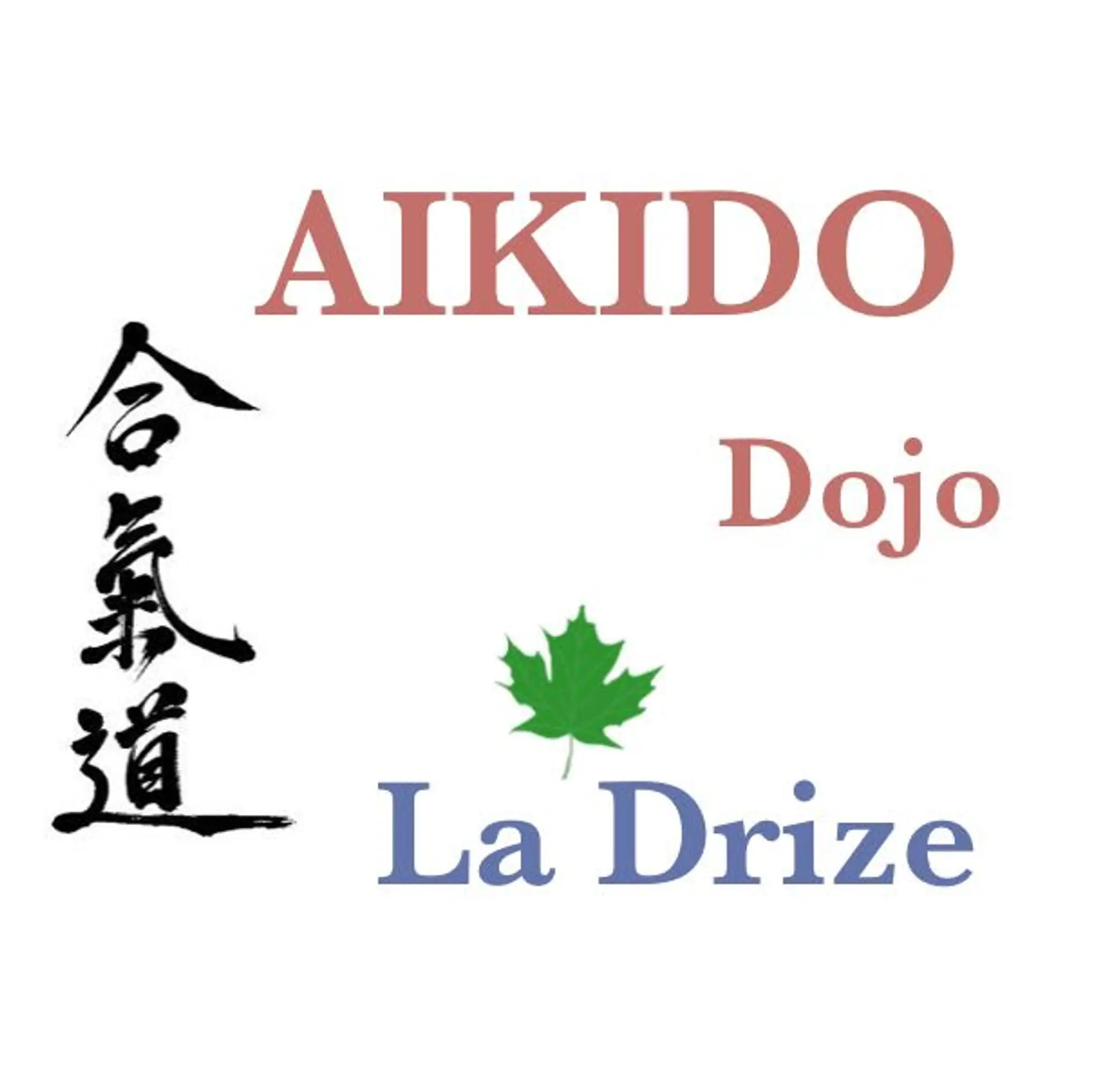 Aikido Dojo La Drize