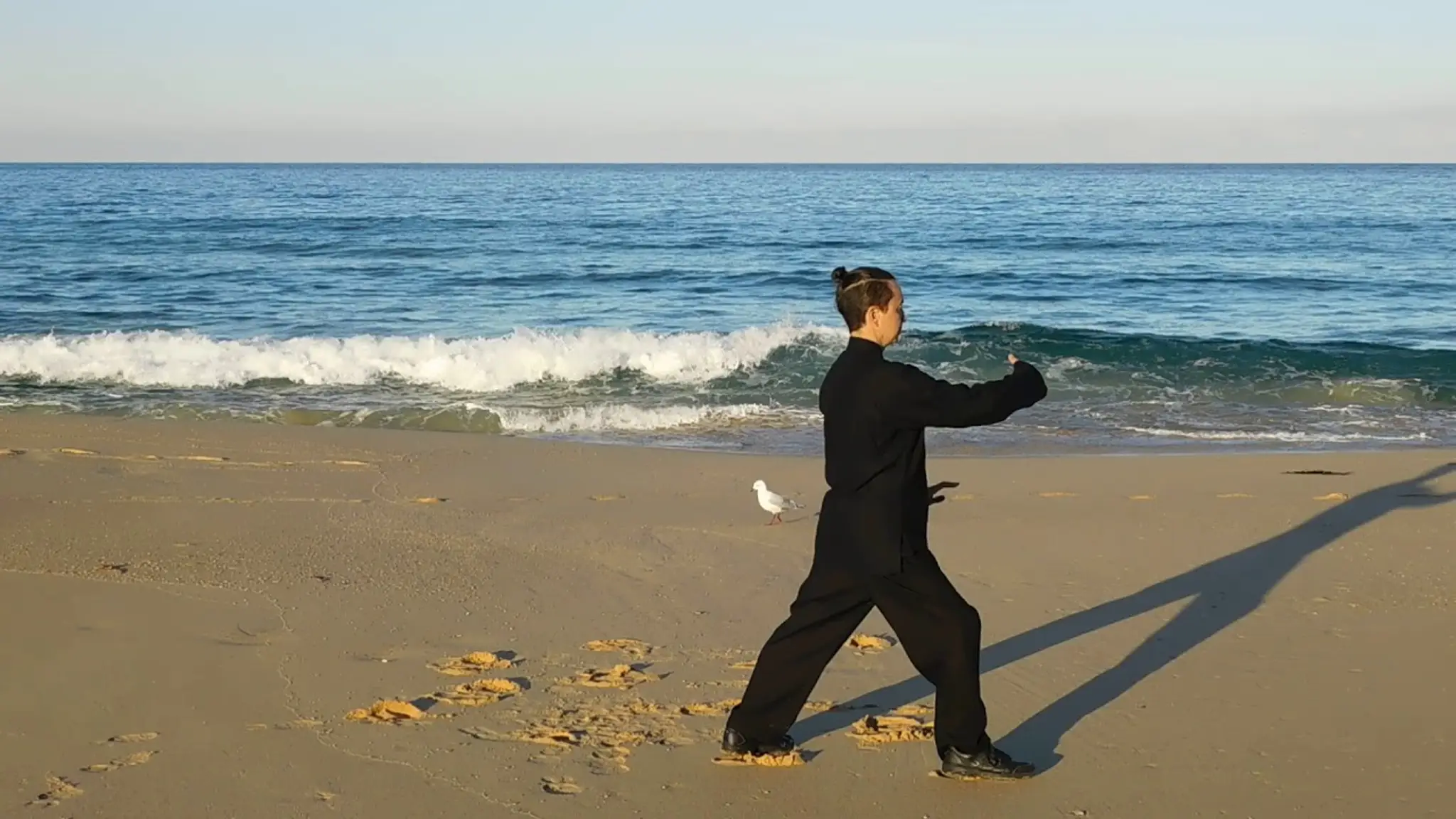 Sapphire Academy of Tai Chi & Meditation