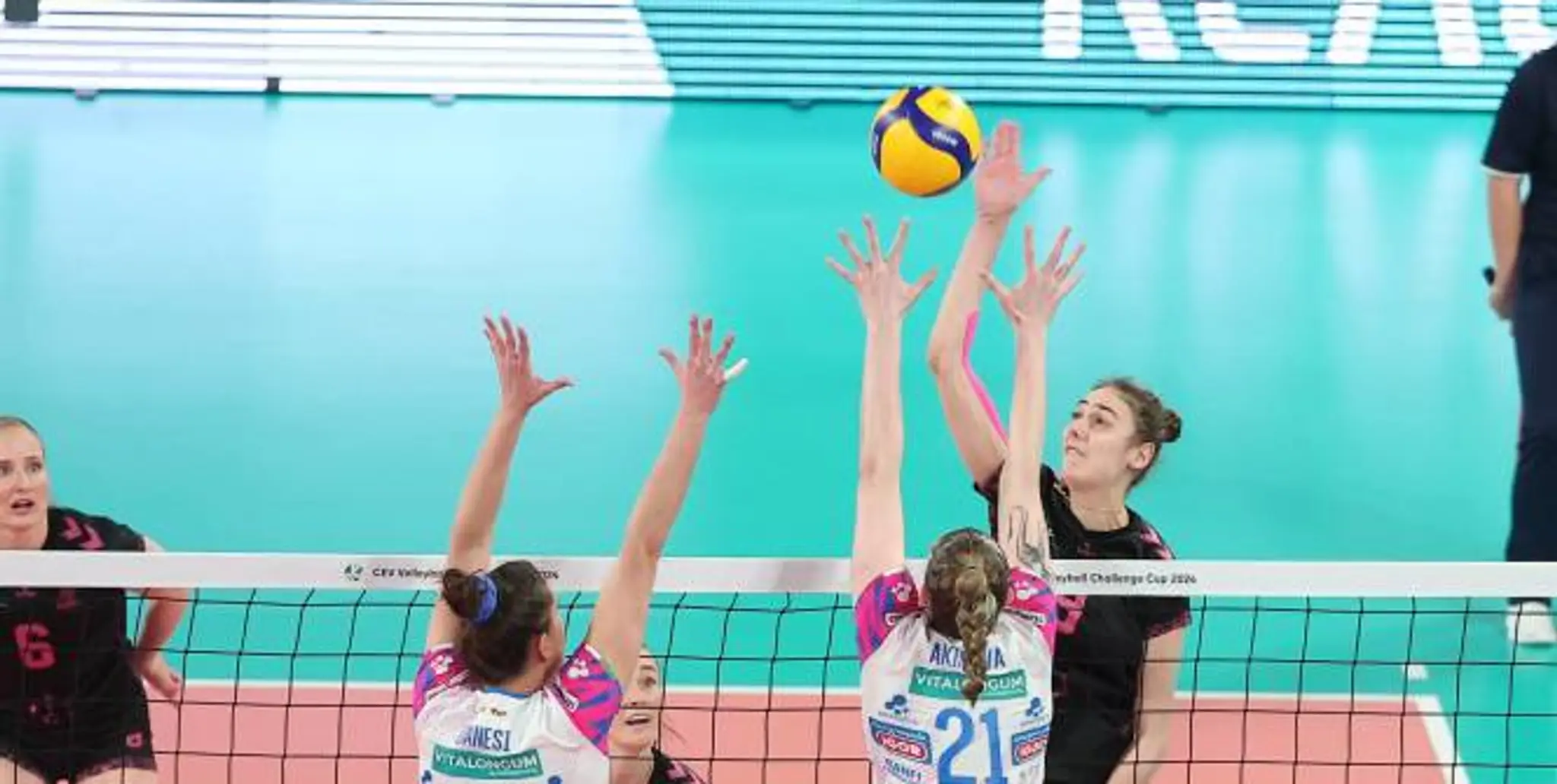 CSSG Le Mans VolleyBall