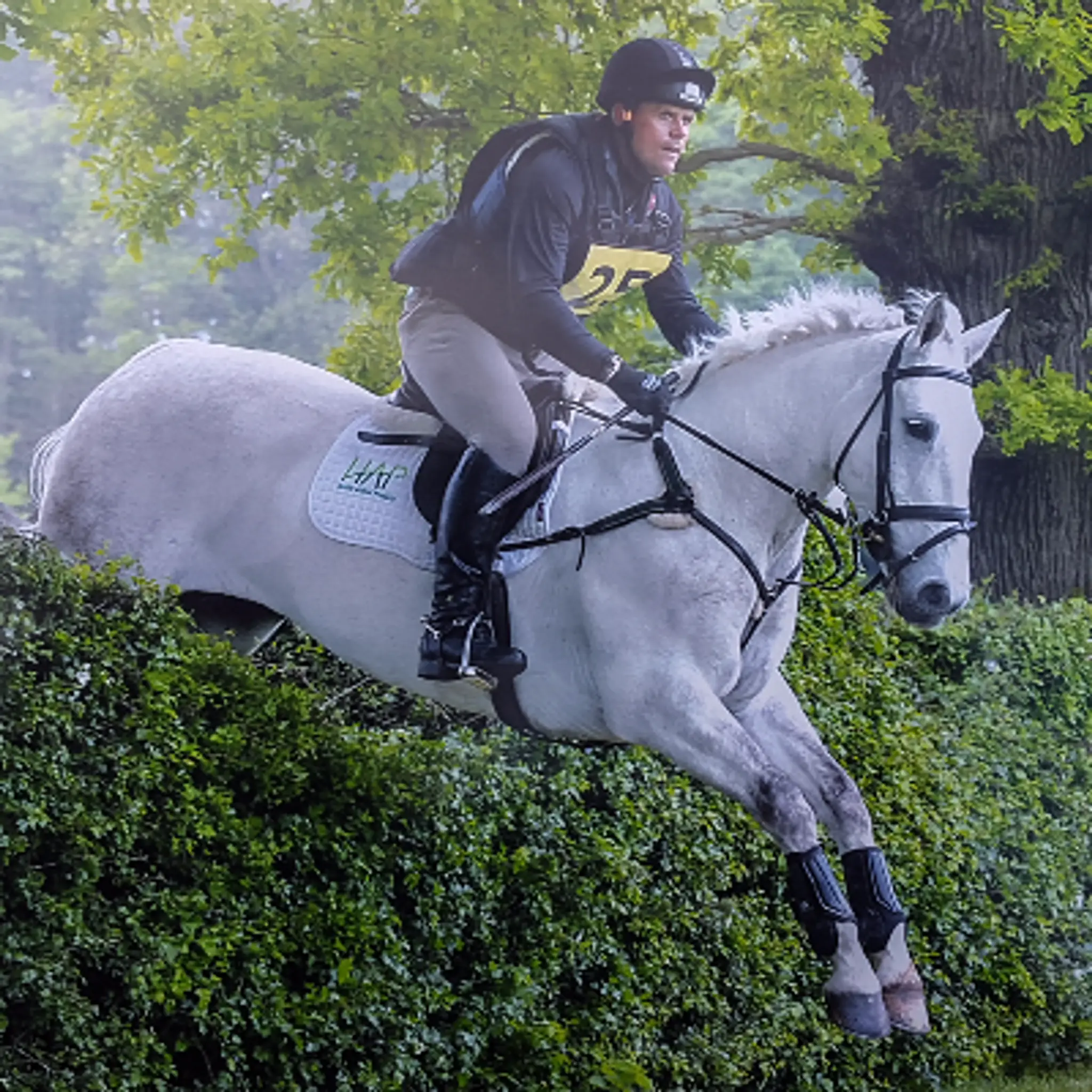 Dean Price Equestrian