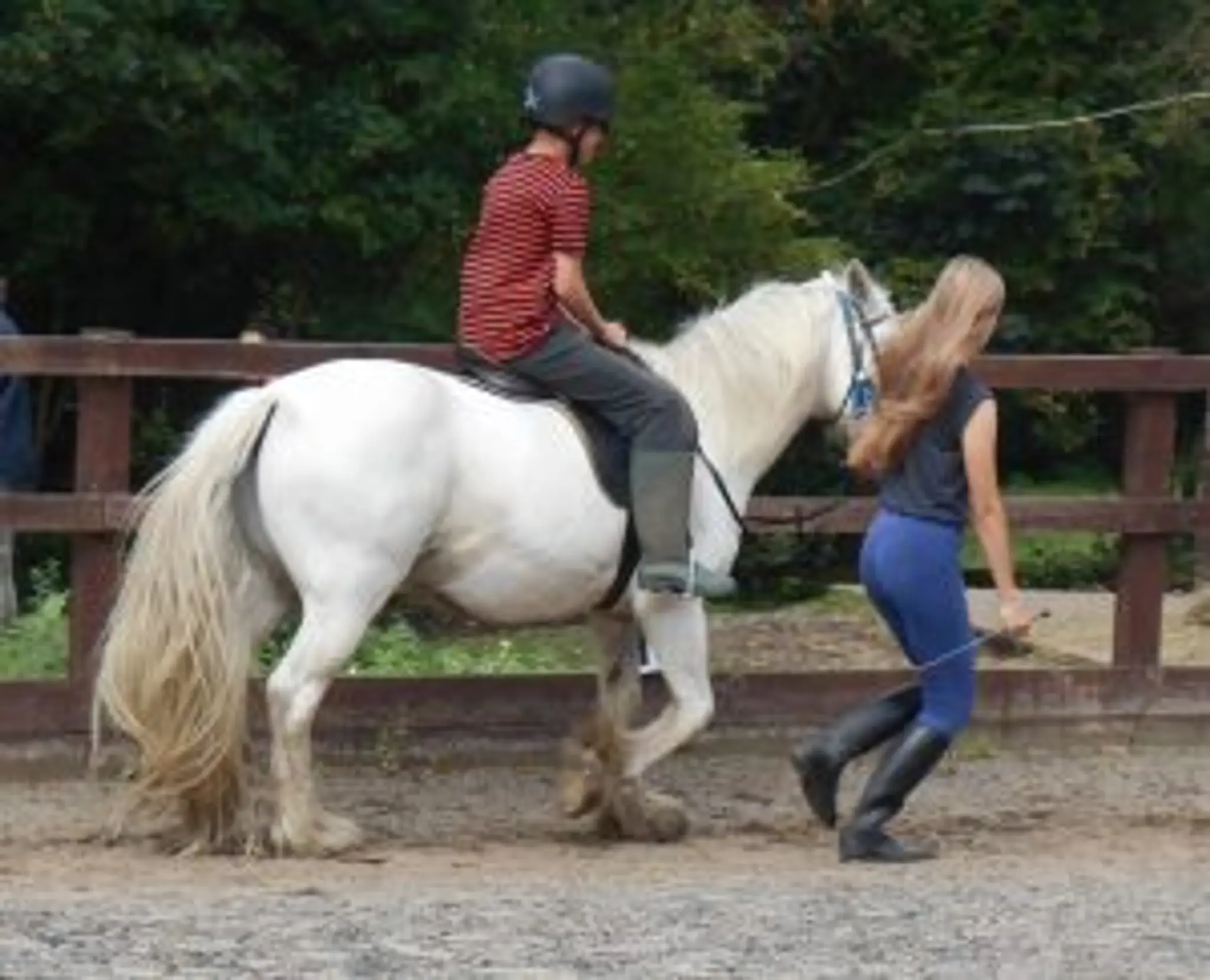 New Lodge Riding Centre