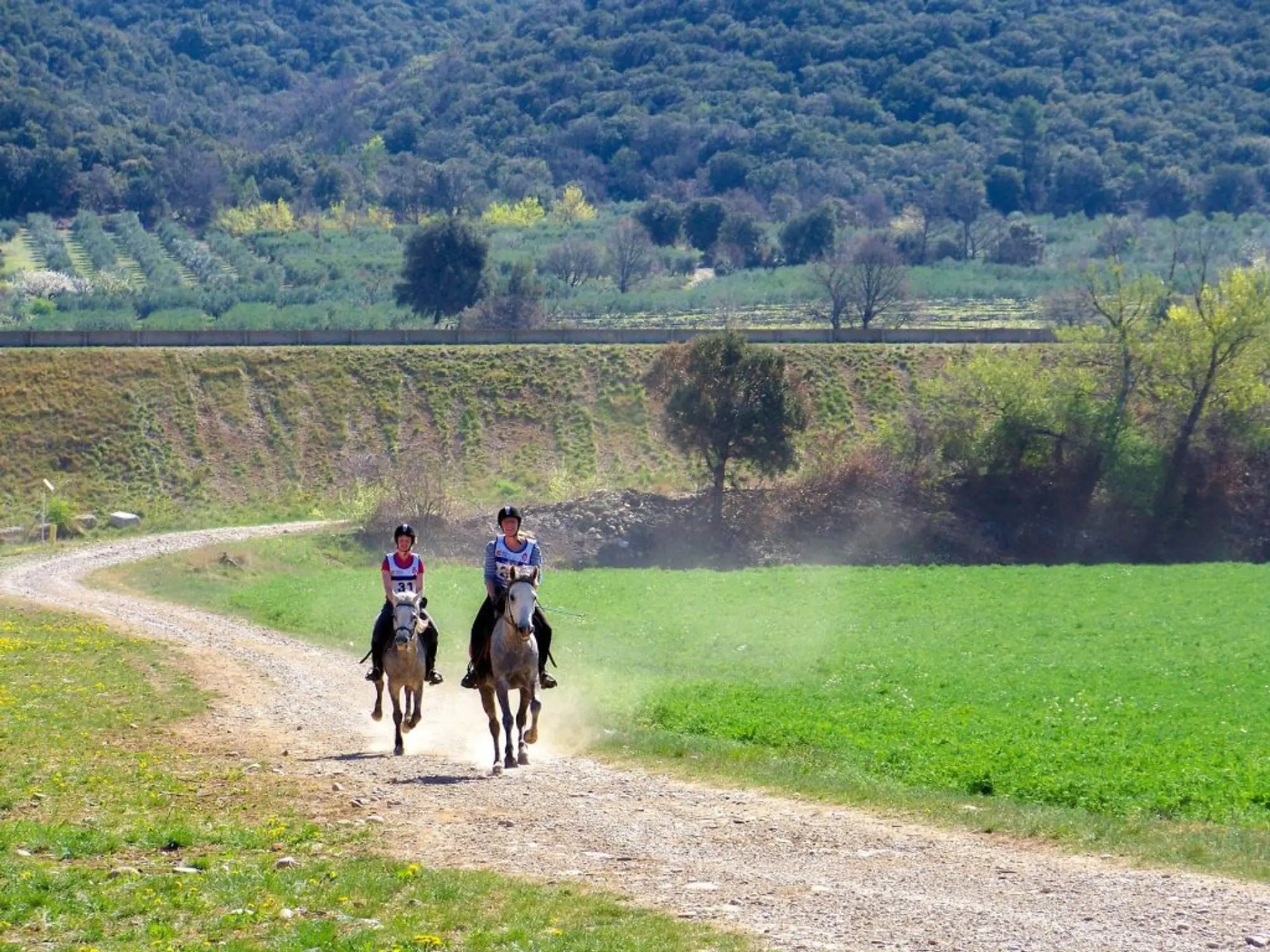CENTRE EQUESTRE LA FENIERE