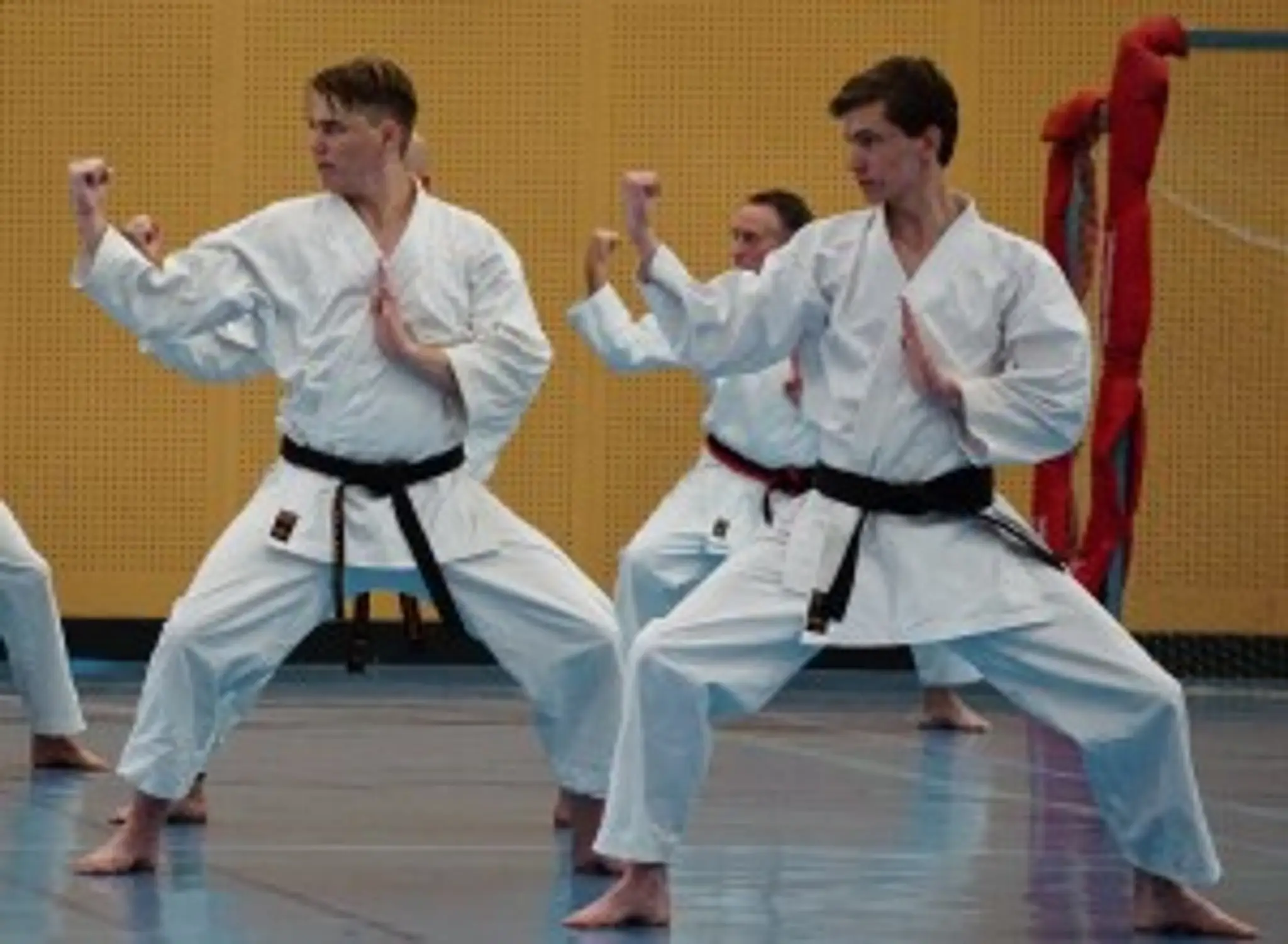 South West Goju-Ryu Karate-Do Association Inc - Mandurah