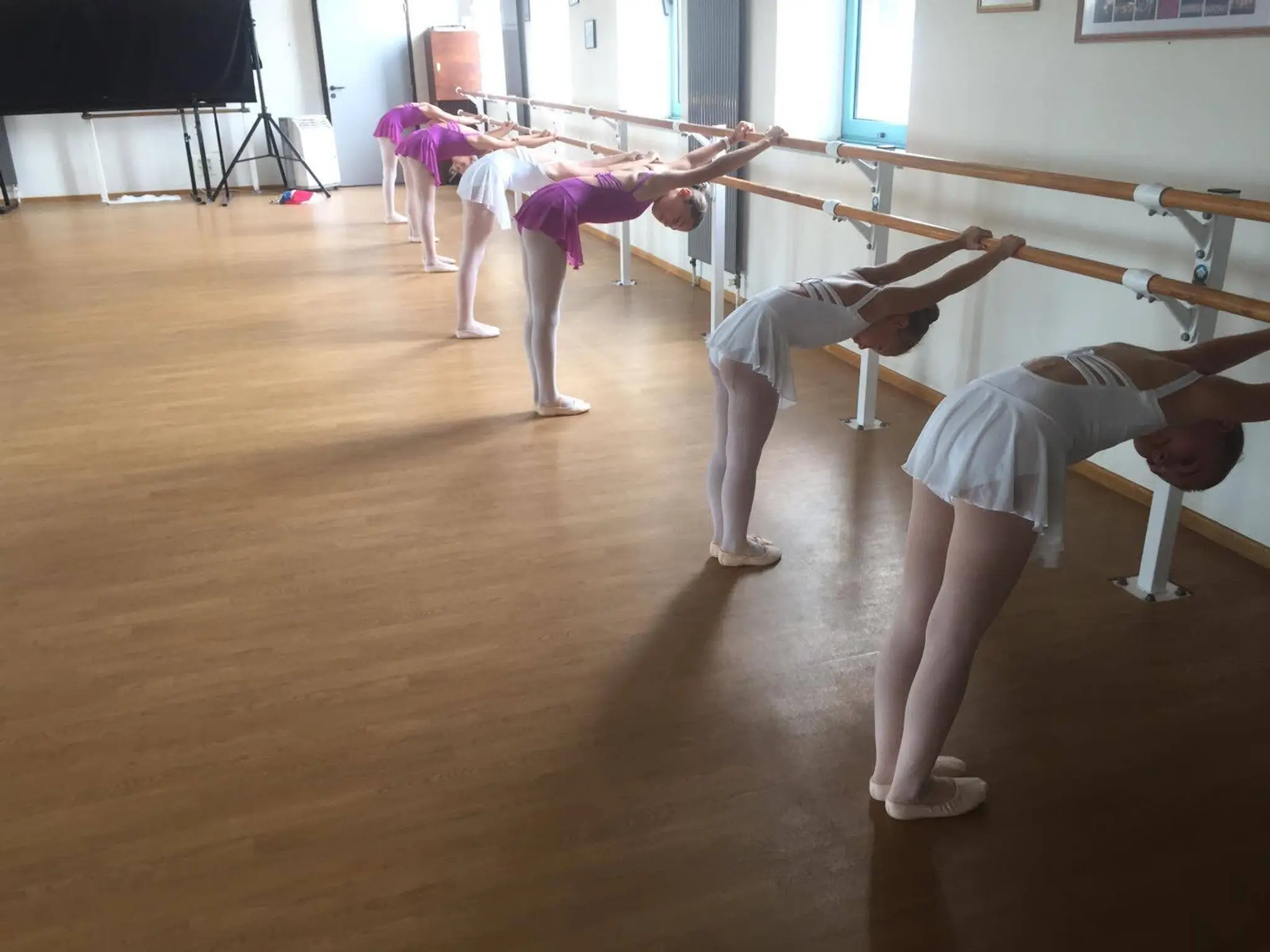 Dance School Arabesque