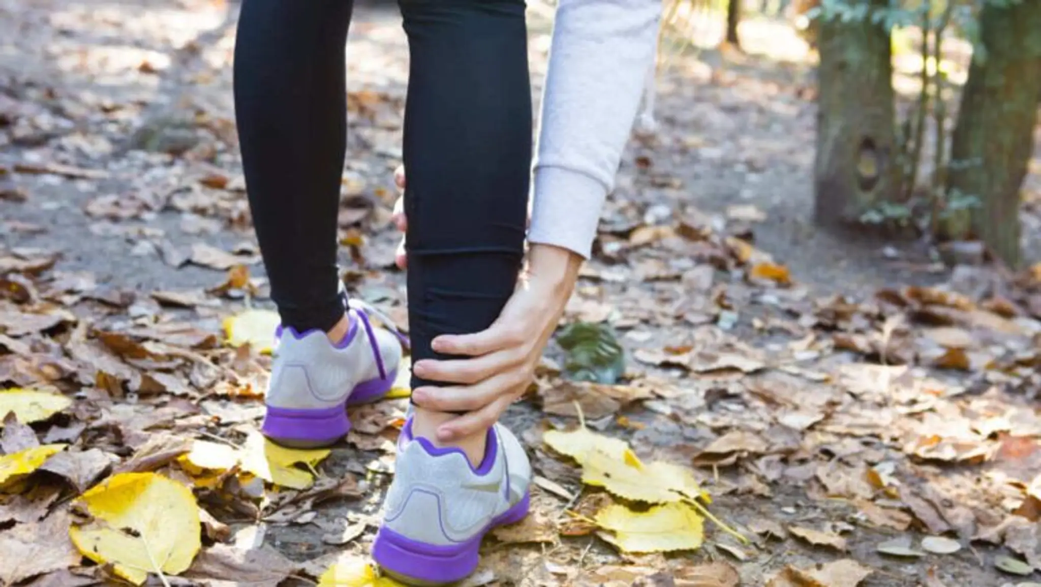 North Shore Physiotherapy Clinic