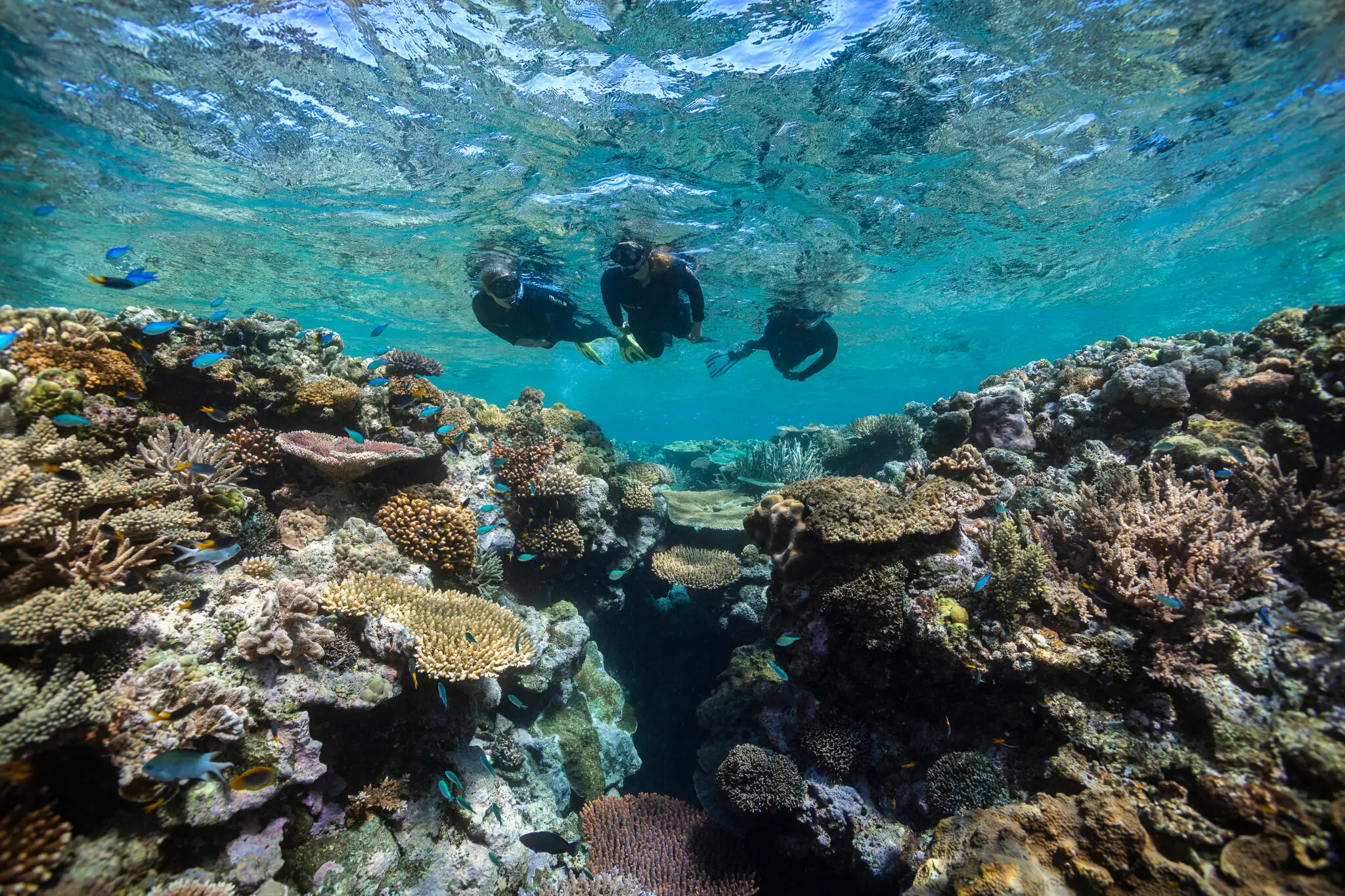 Tasman Holiday Parks - Airlie Beach