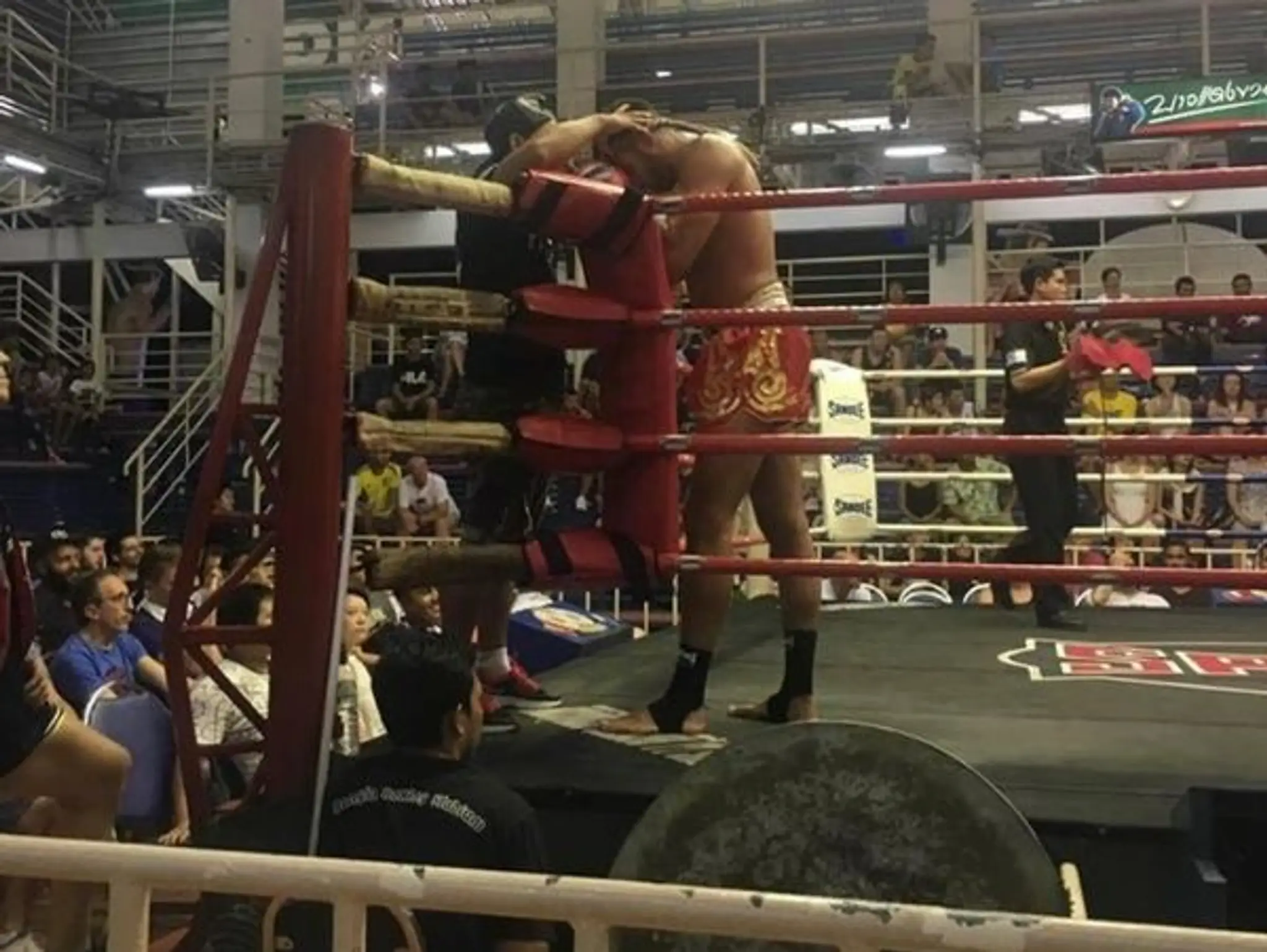 DB Traditional Muay Thai