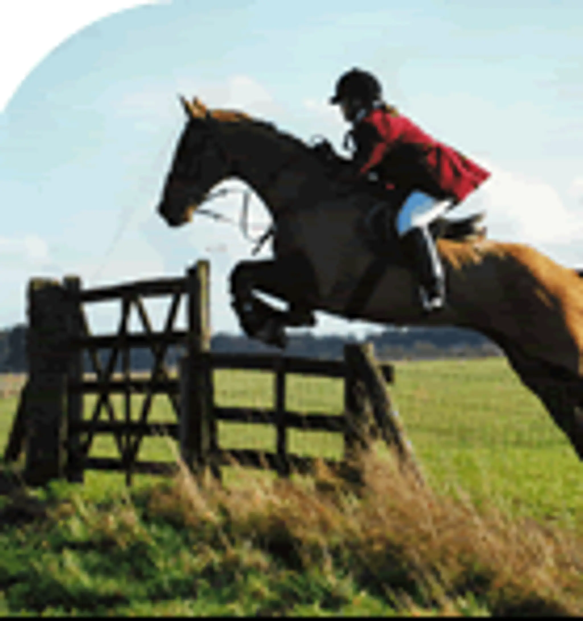 Bathley Hill Farm Livery