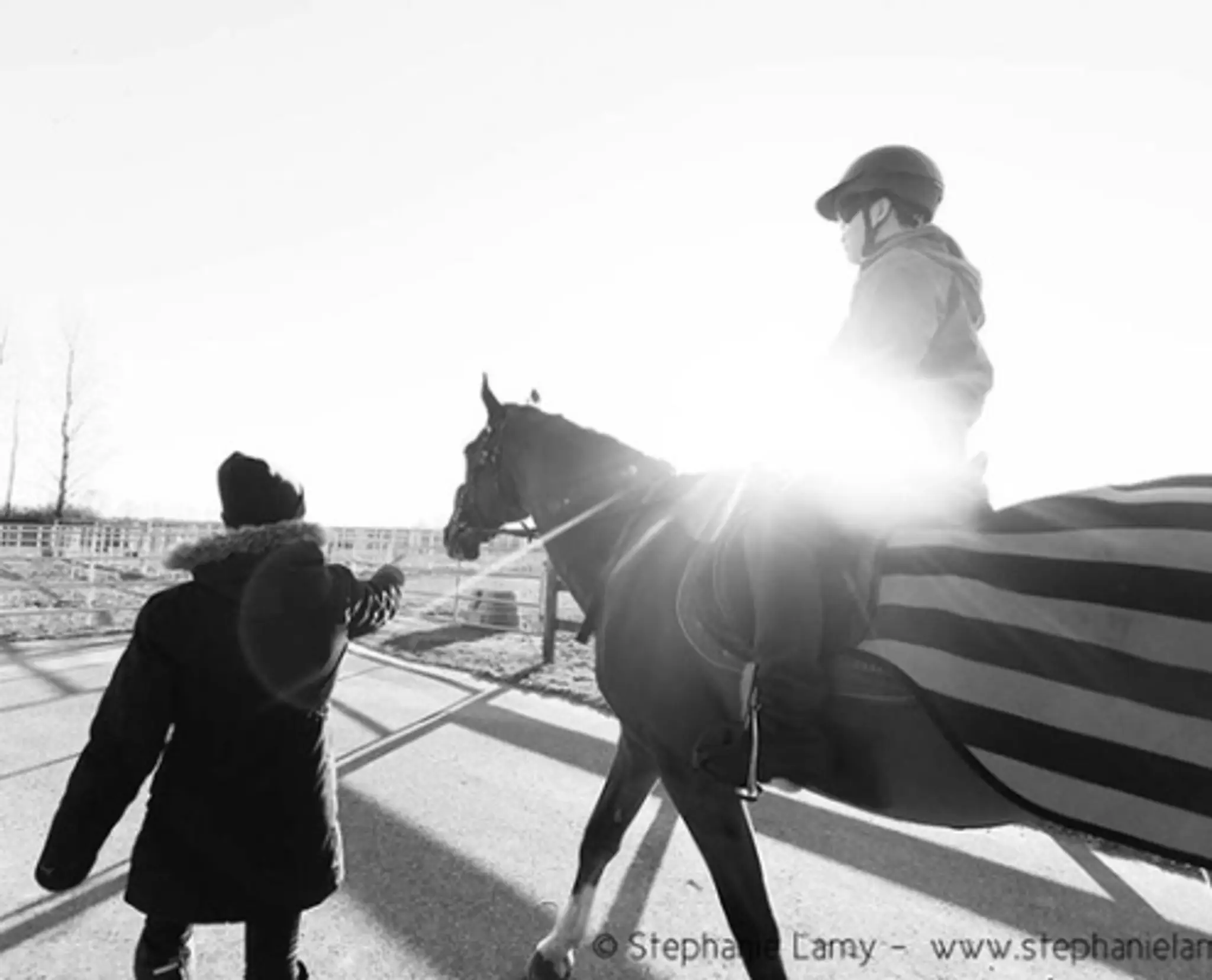 Richmond Therapeutic Riding Association