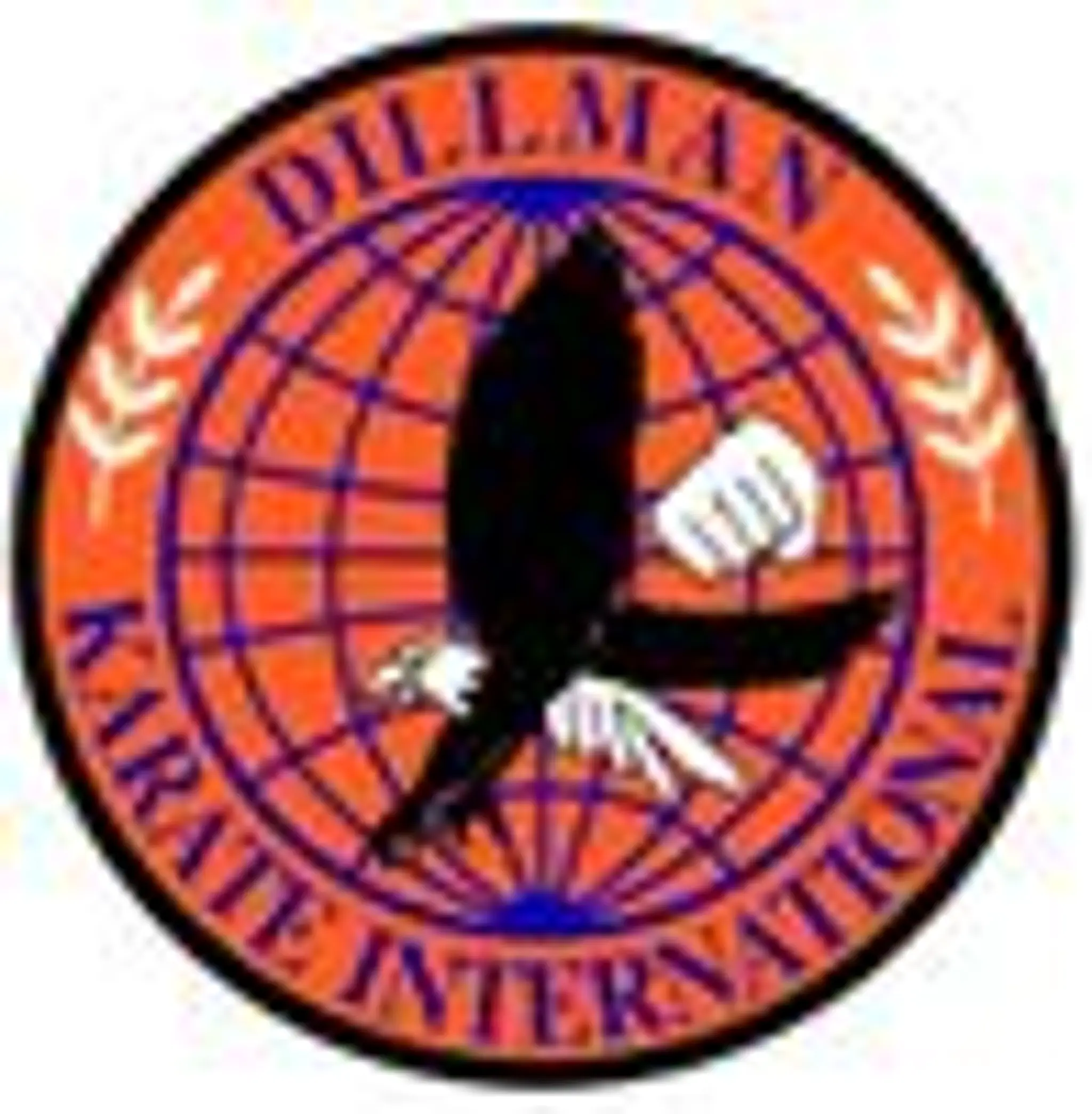 Academie D'Arts Martiaux Alain