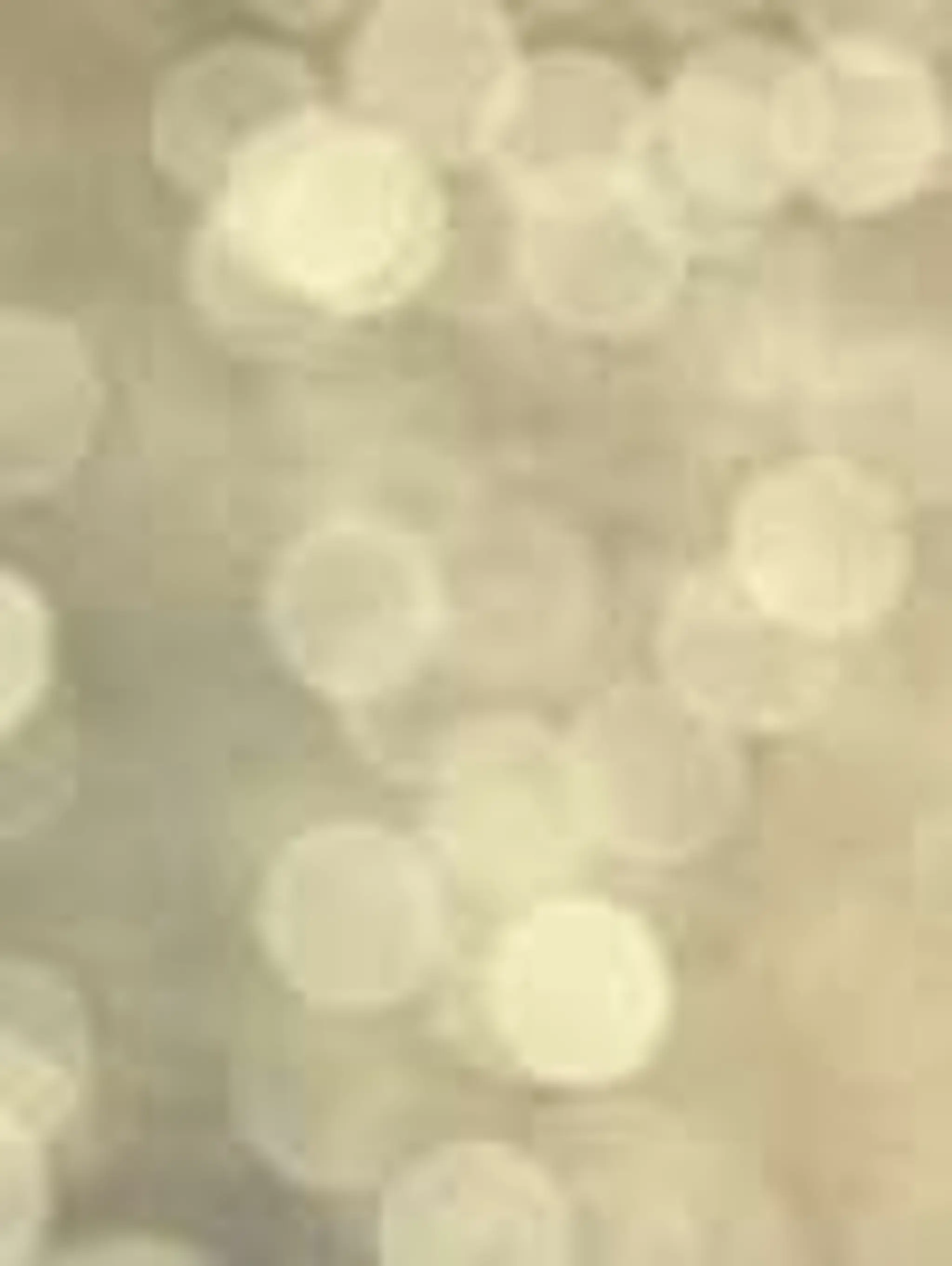 Nadège Tebbakha -énergéticienne- massage-numérologie