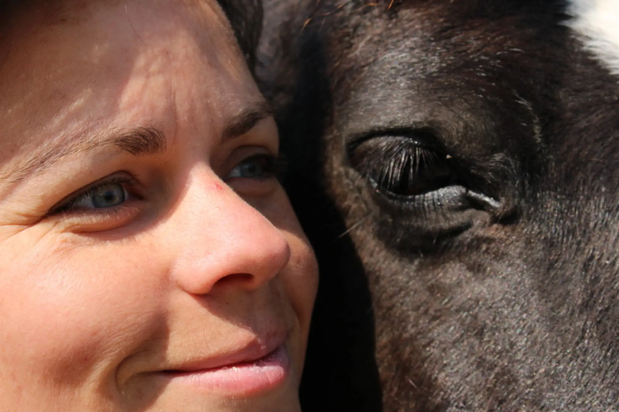 Regards Pluriels Equicoaching Gonneville-sur-Mer