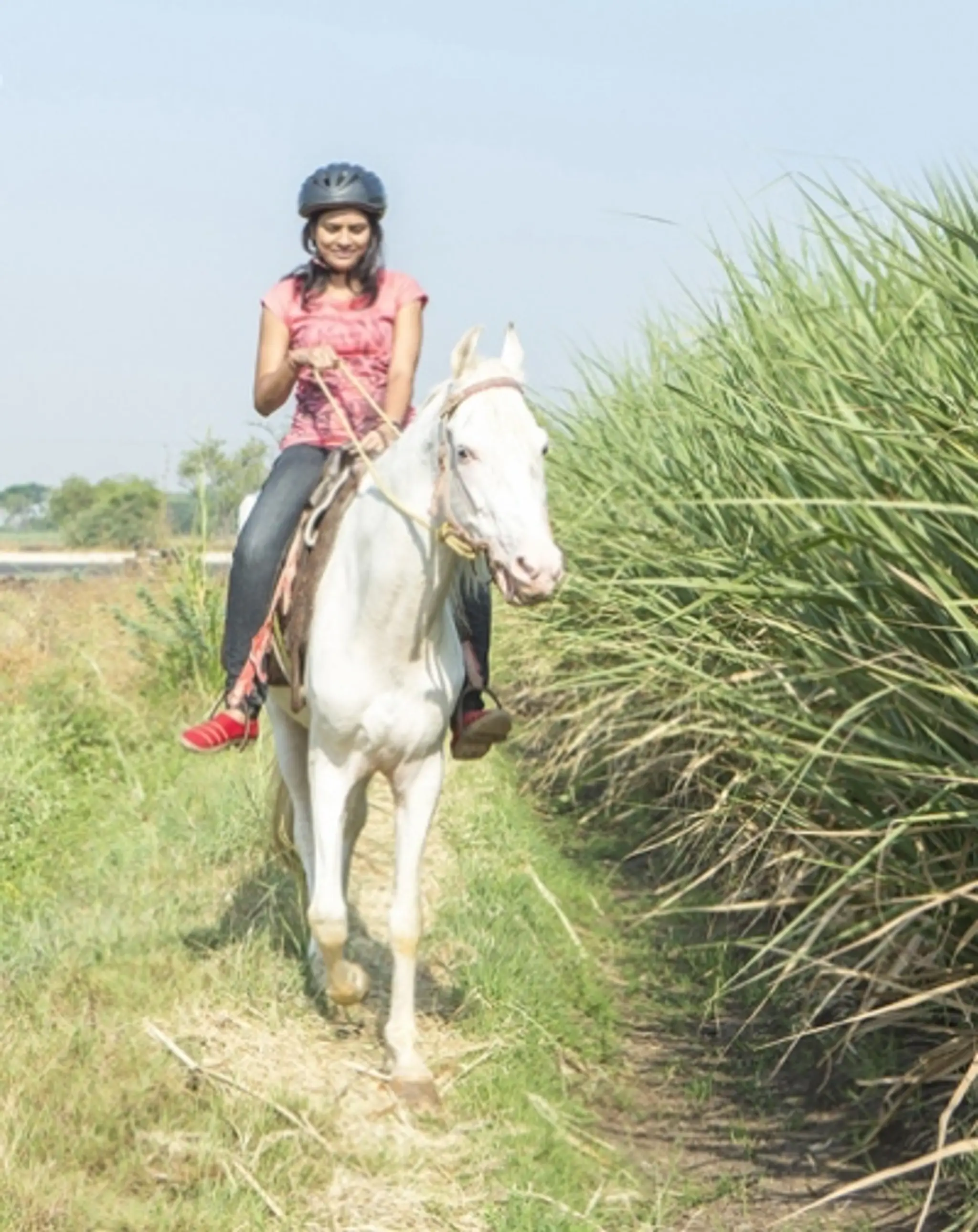 Hotel Jakson Inns Phaltan