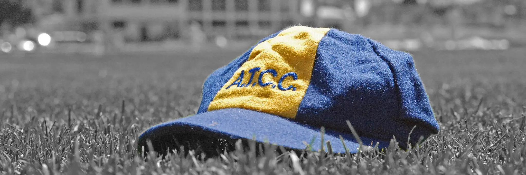 Alexander Thomson Cricket Club