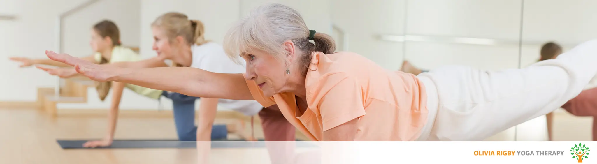 MS Yoga Therapy for You