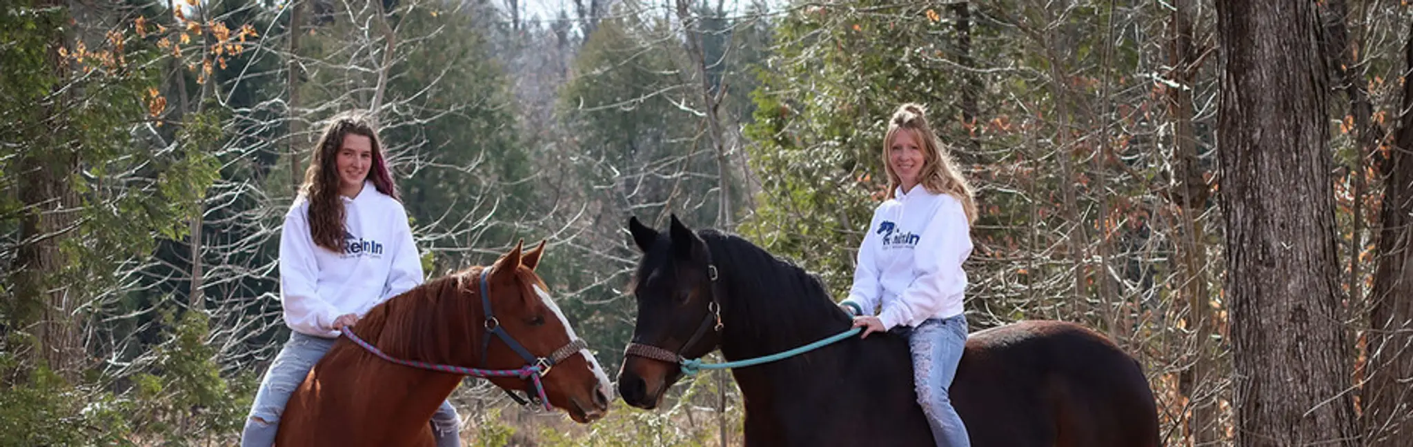 Rein In Equine Wellness Centre
