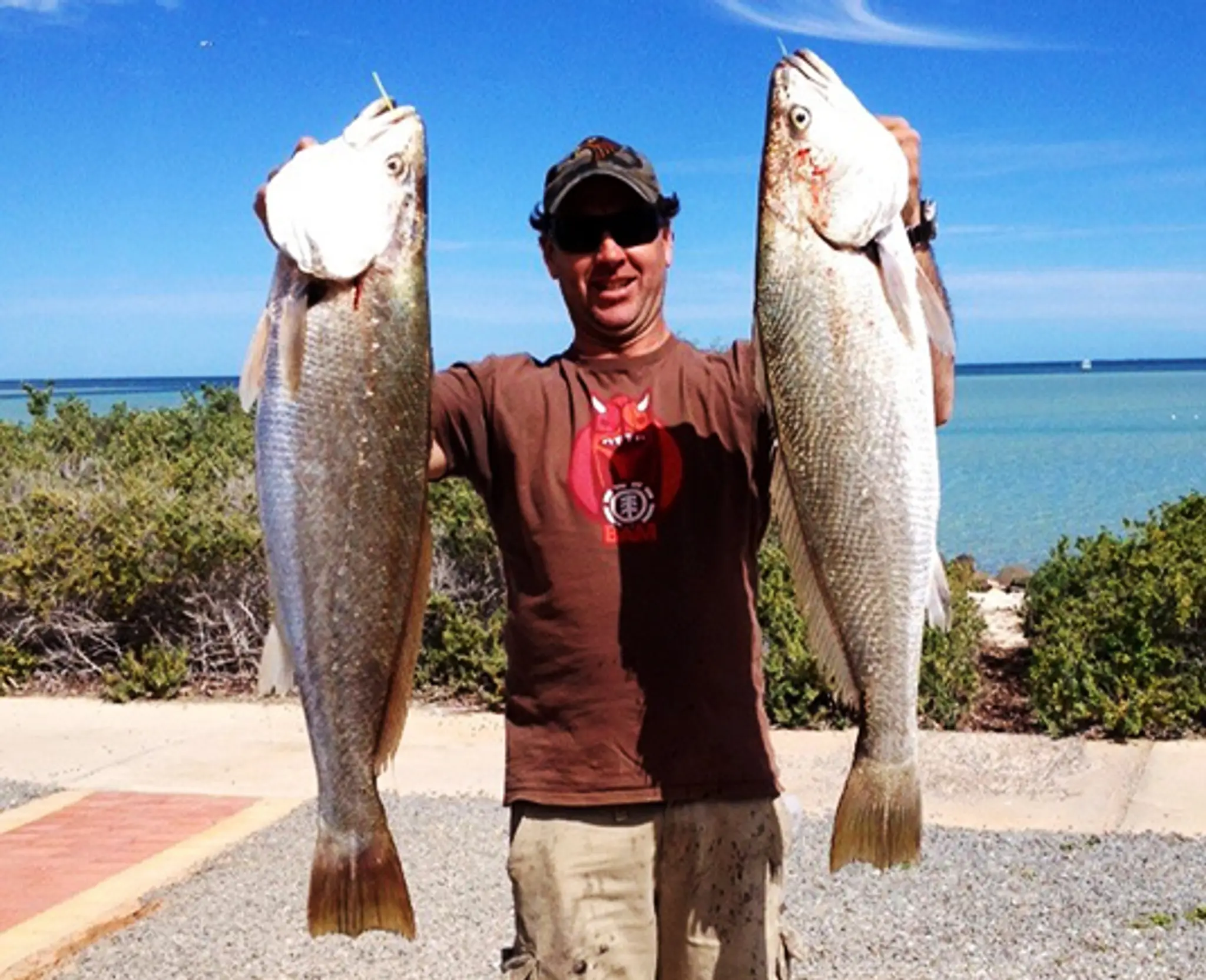 Mac Attack Fishing Charters