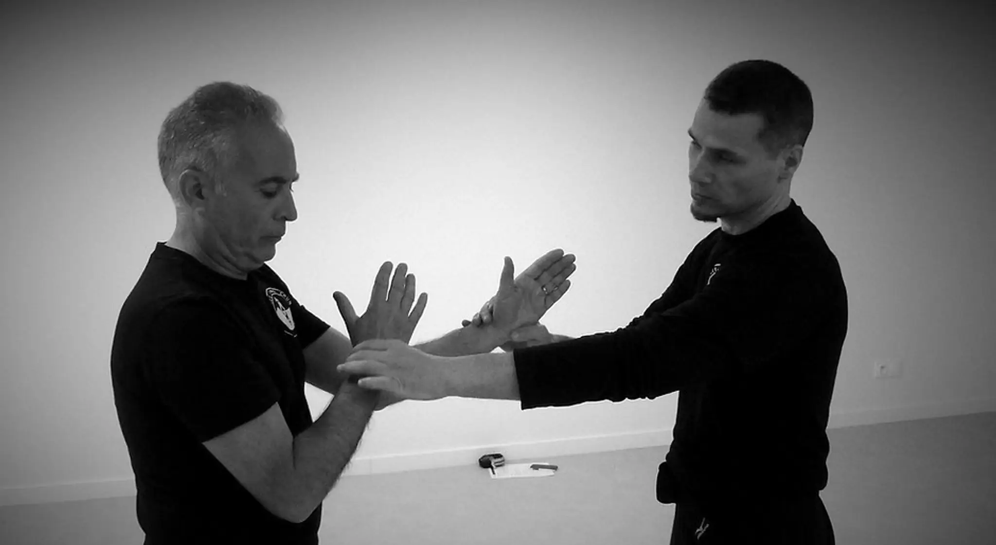 France Wing Chun Section 69