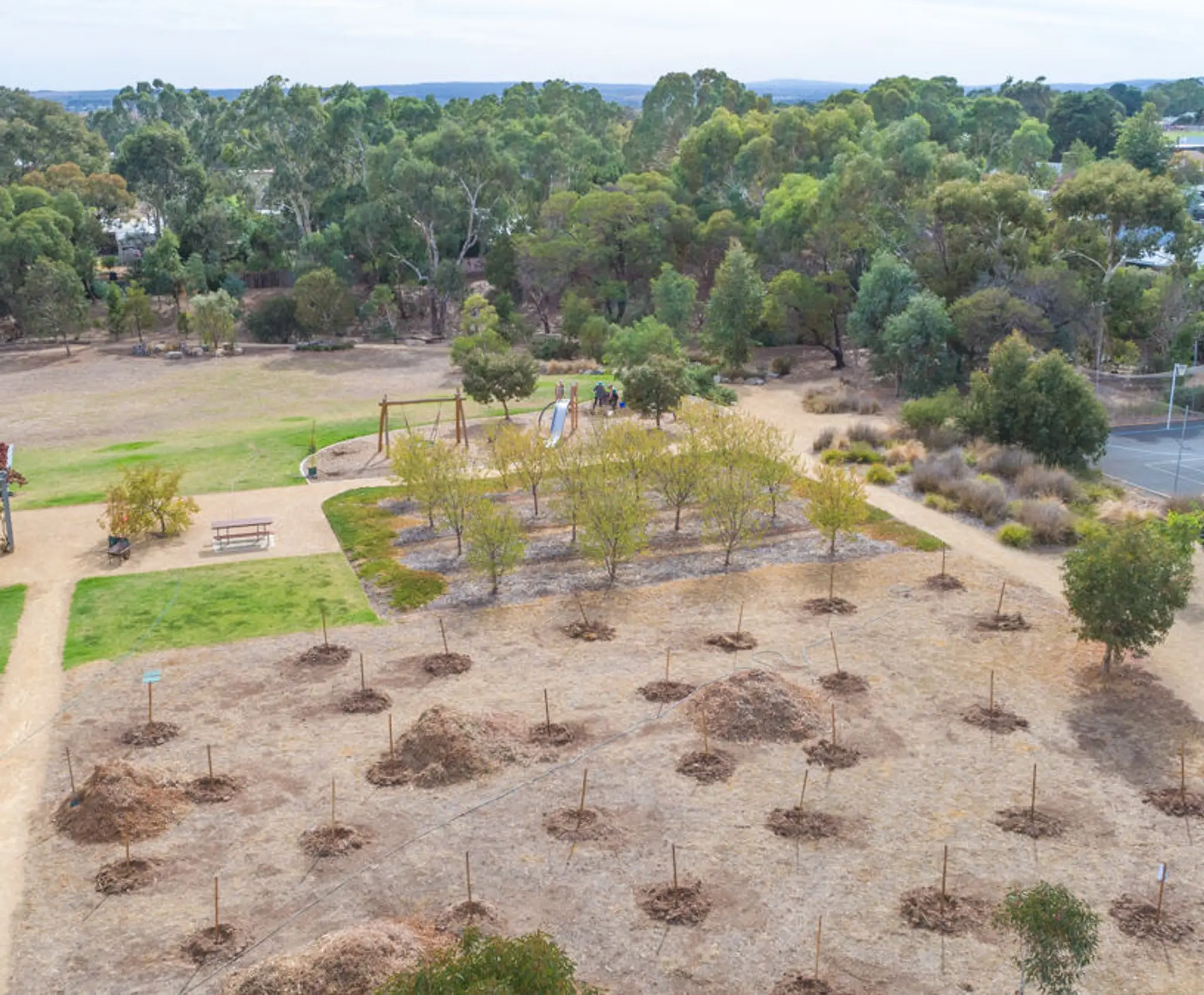 Bassett Street Reserve