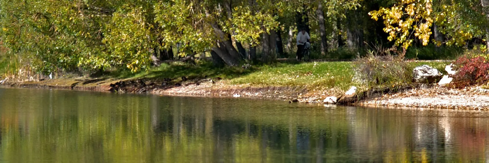 Carburn Park Skating Rink