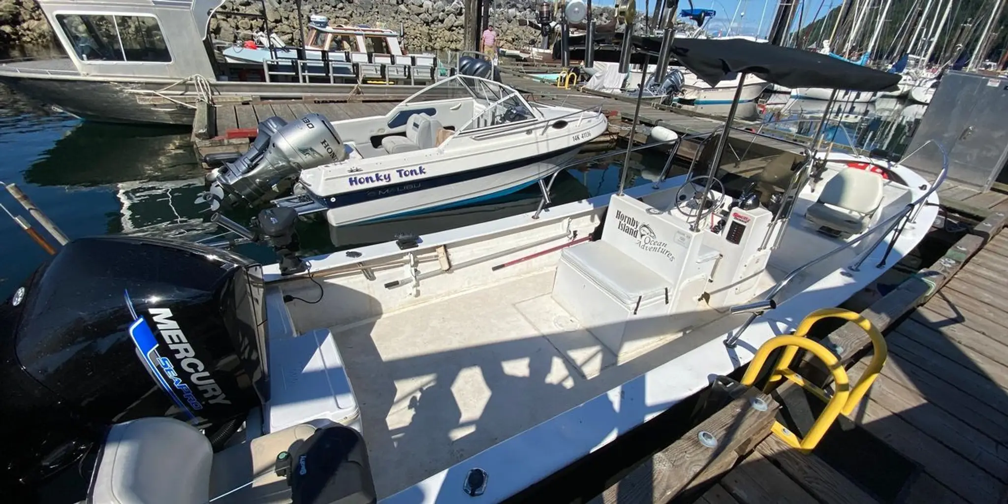 Hornby Island Ocean Adventures