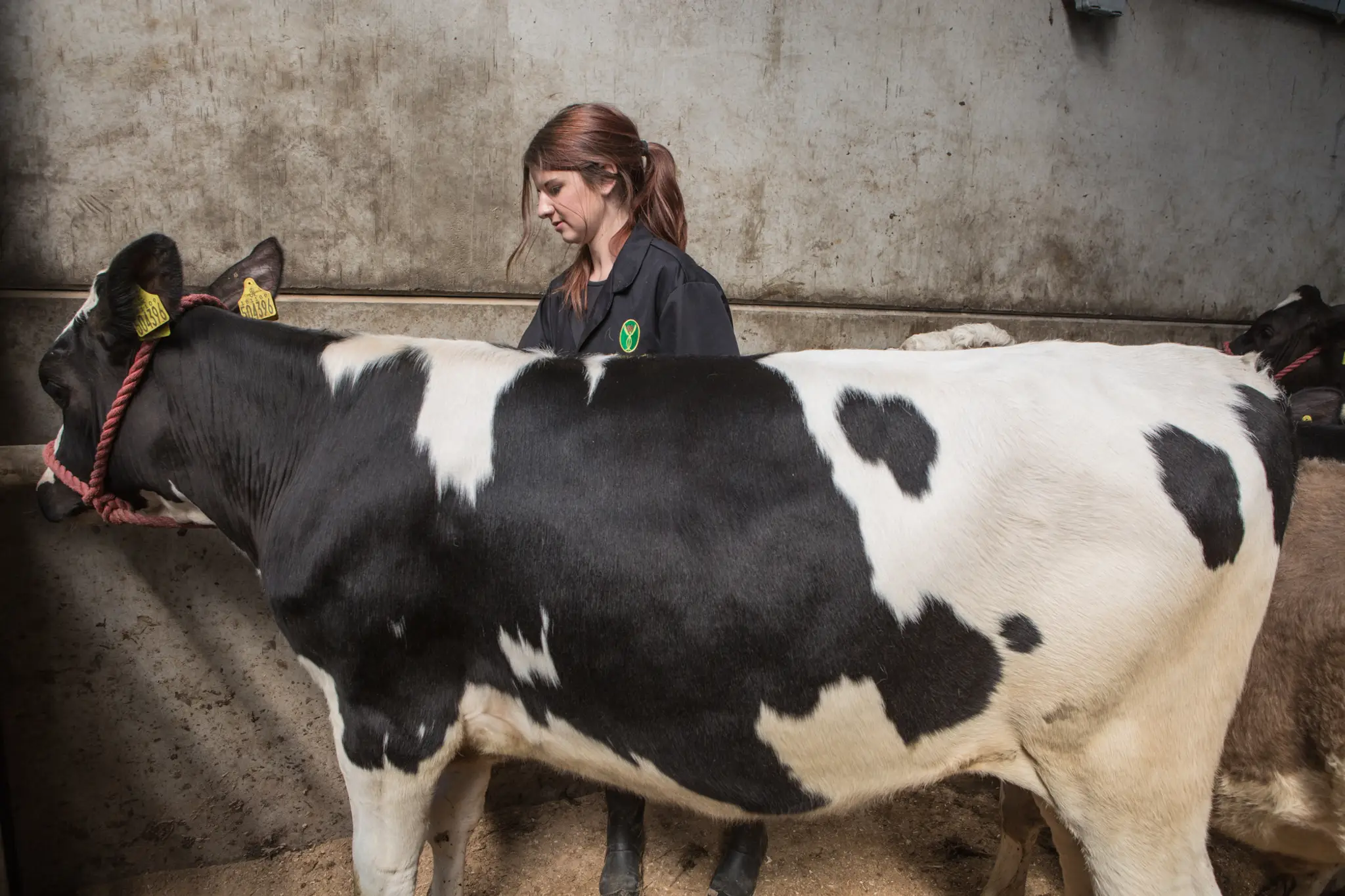 Myerscough Equine Arena