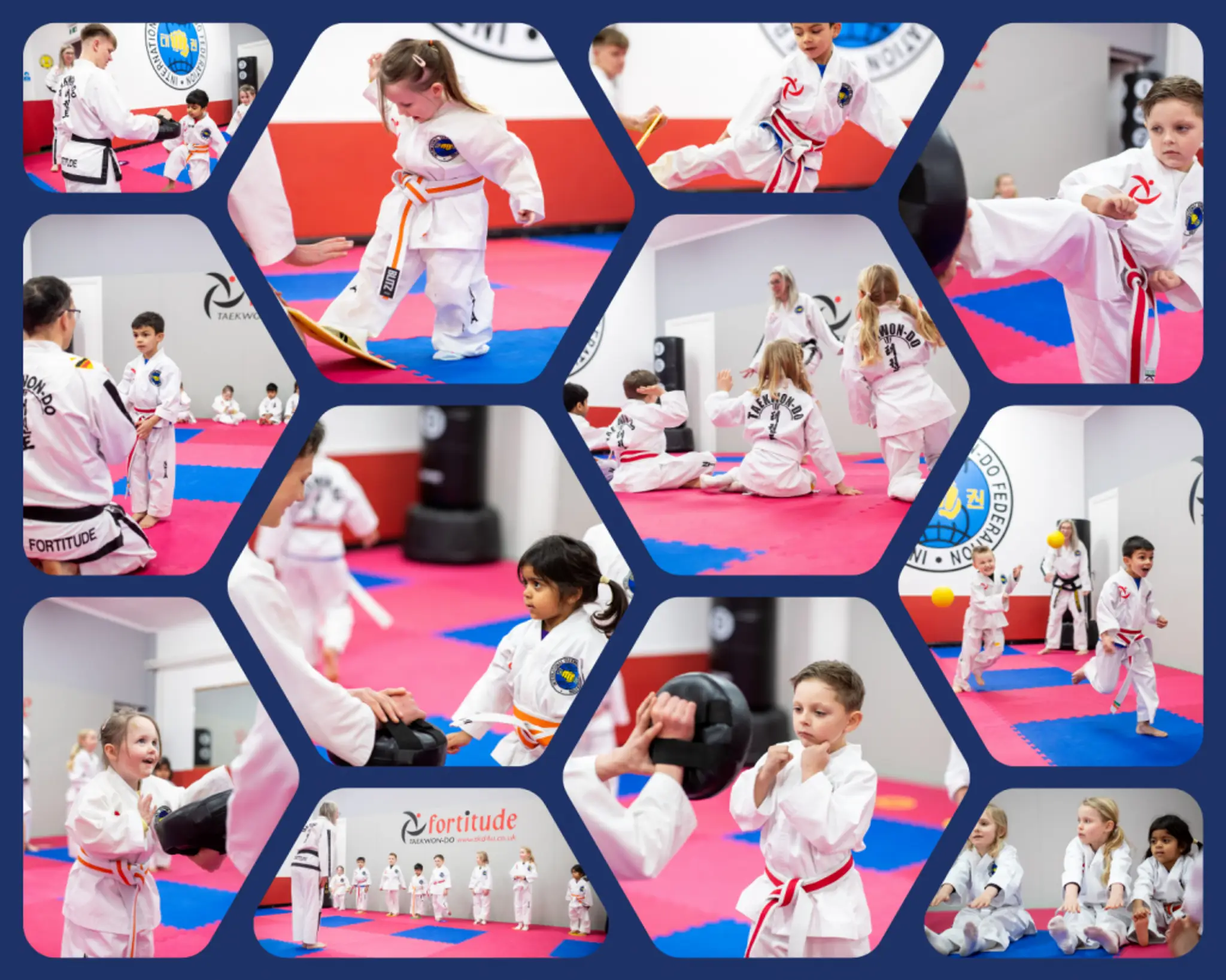 Fortitude Taekwondo Reigate