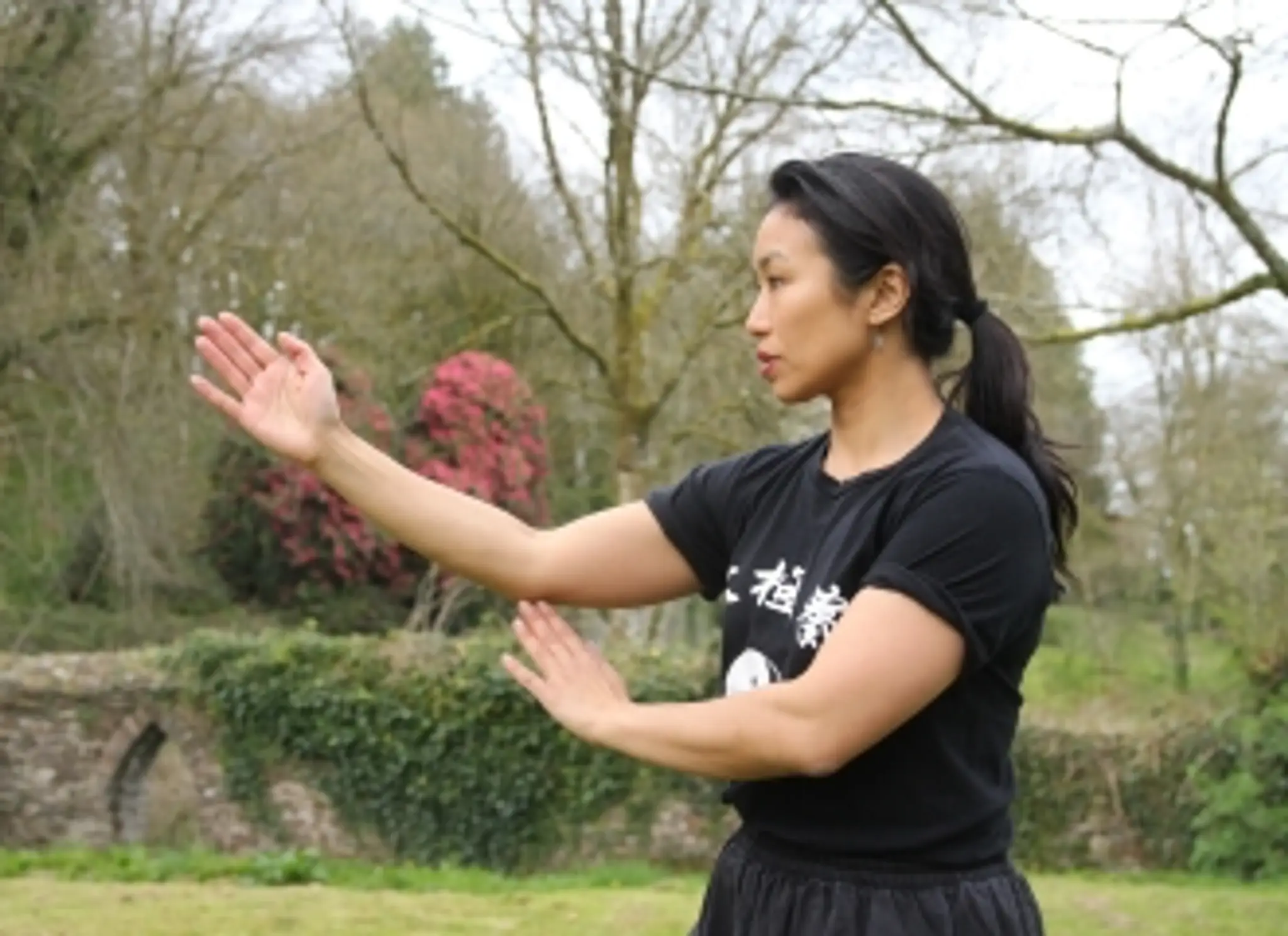 JI SIU TAI CHI CHUAN