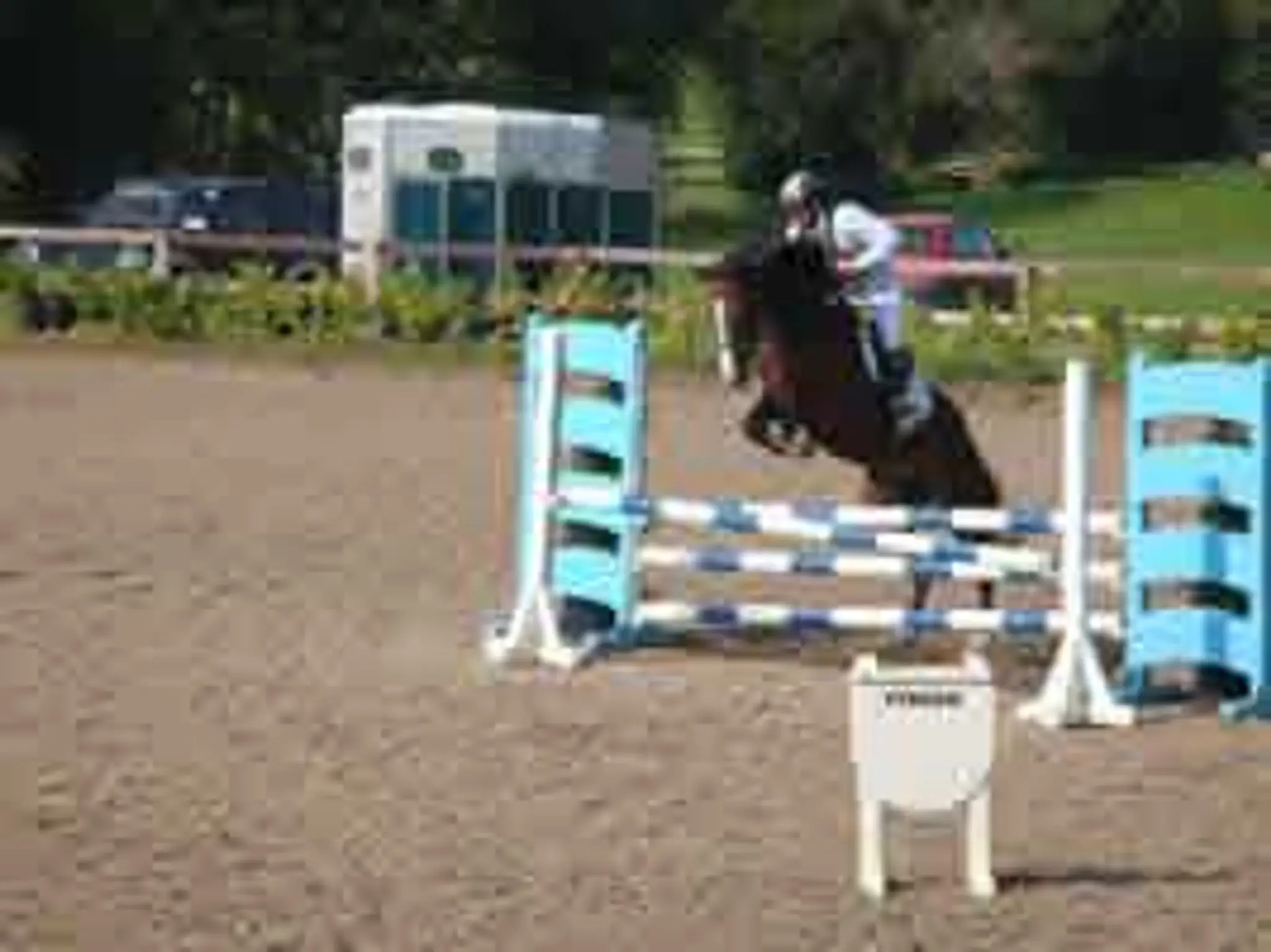 Ross House Equestrian Holidays