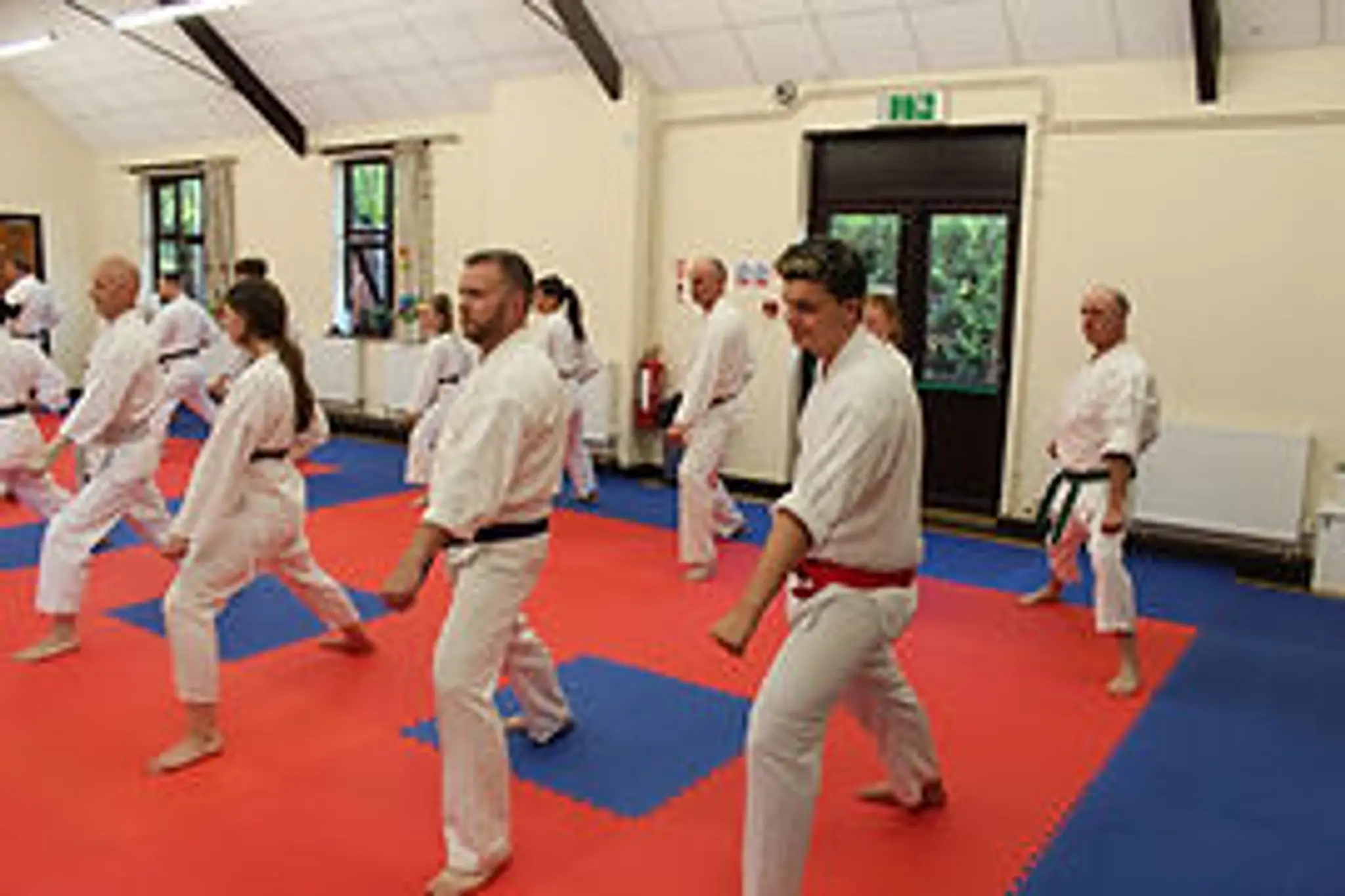 Llanbedr DC Karate Club
