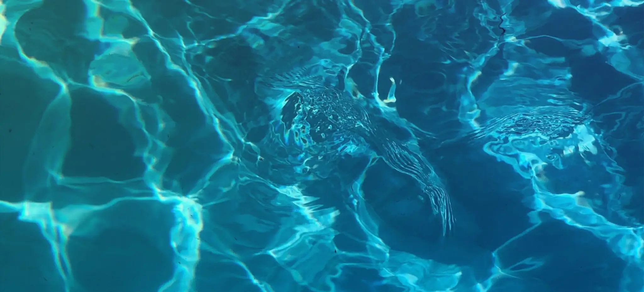 British Gas SwimBritain