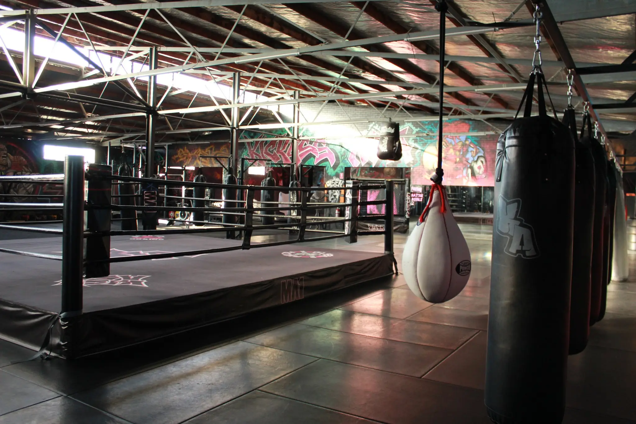 Boxing Professor PTY. LTD