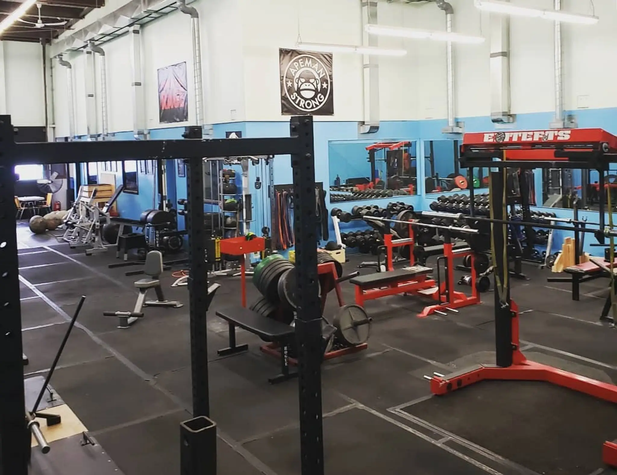 Barbarian Strength Gym