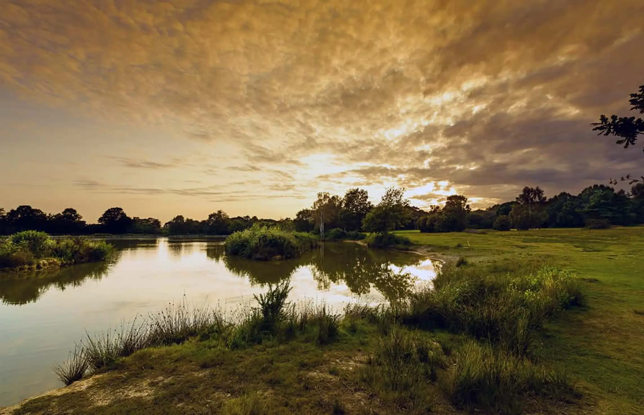 The Piltdown Golf Club