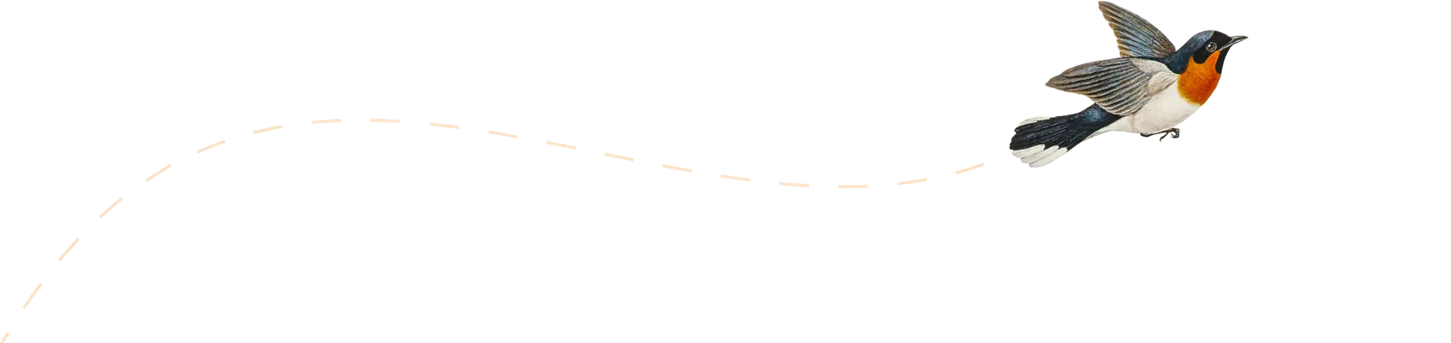 Mindful Lizard - Yoga and Meditation Retreats