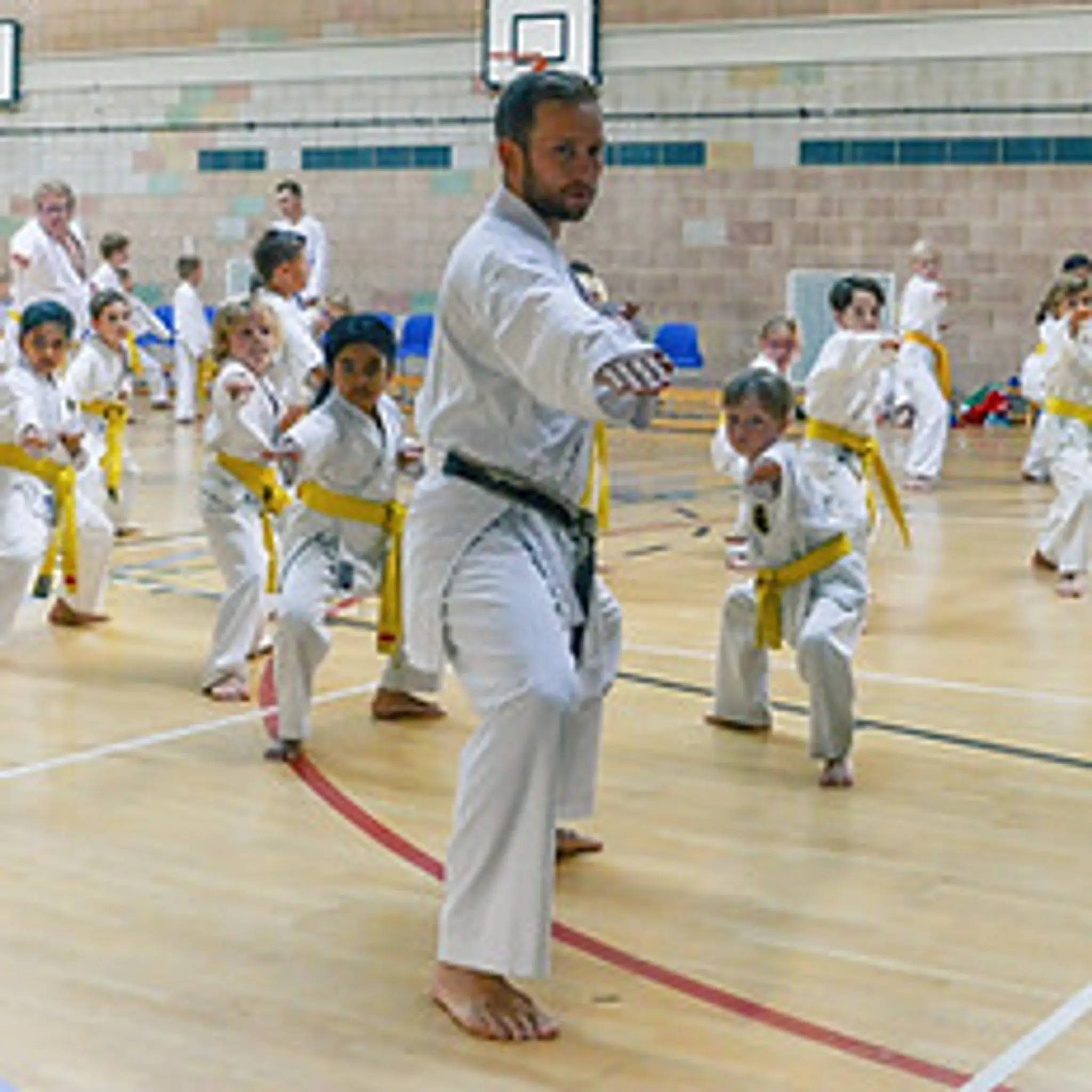 United Karate Association