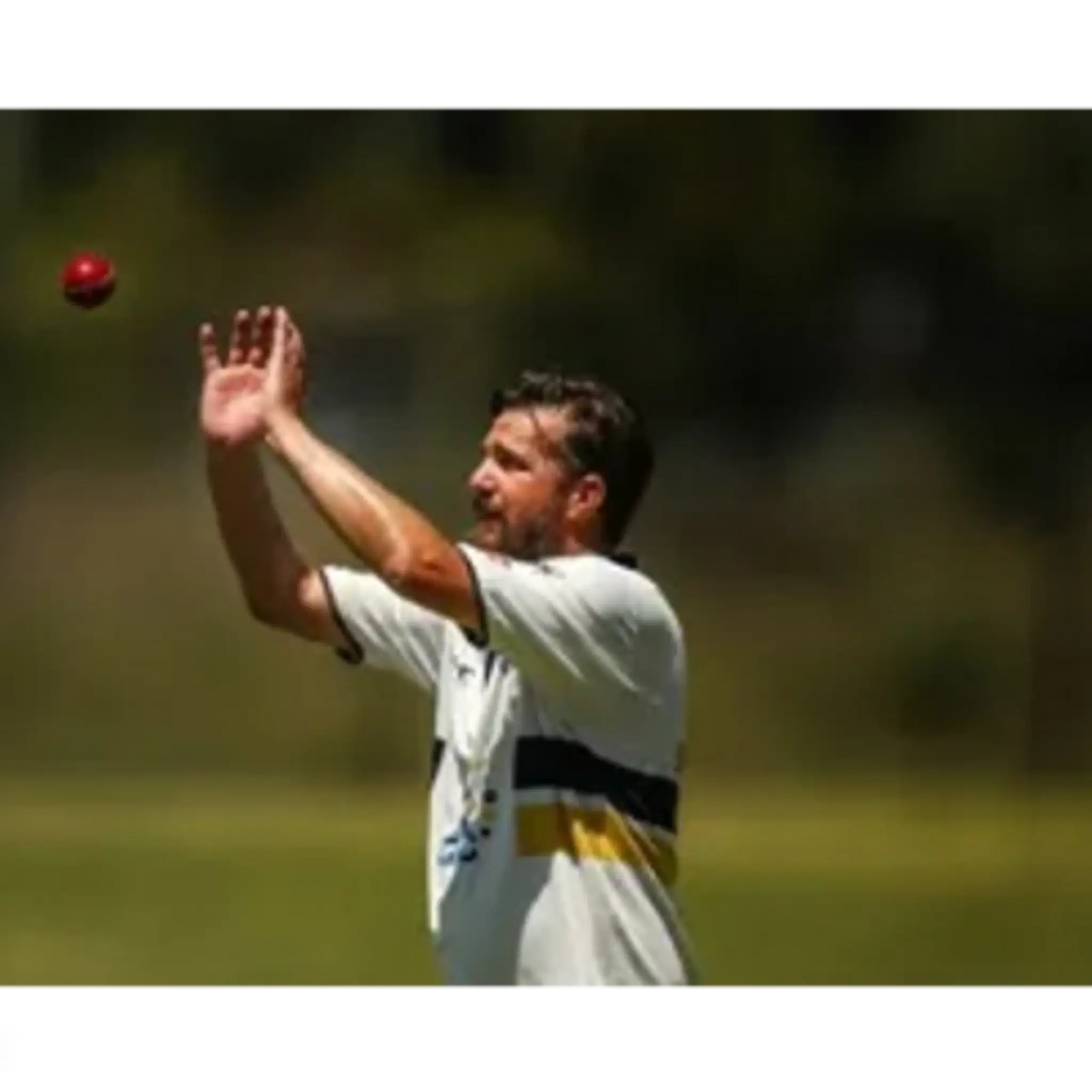 Hamwicks Cricket Club