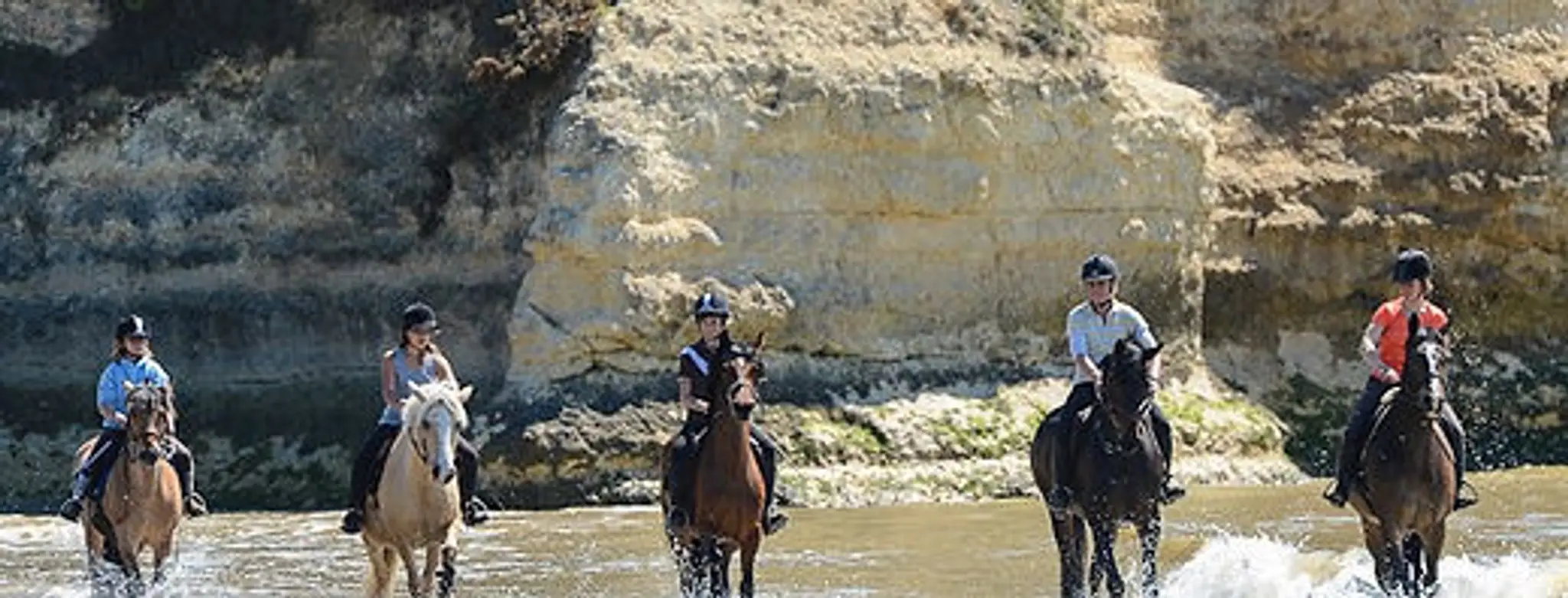 Equestrian Center De L'estuaire