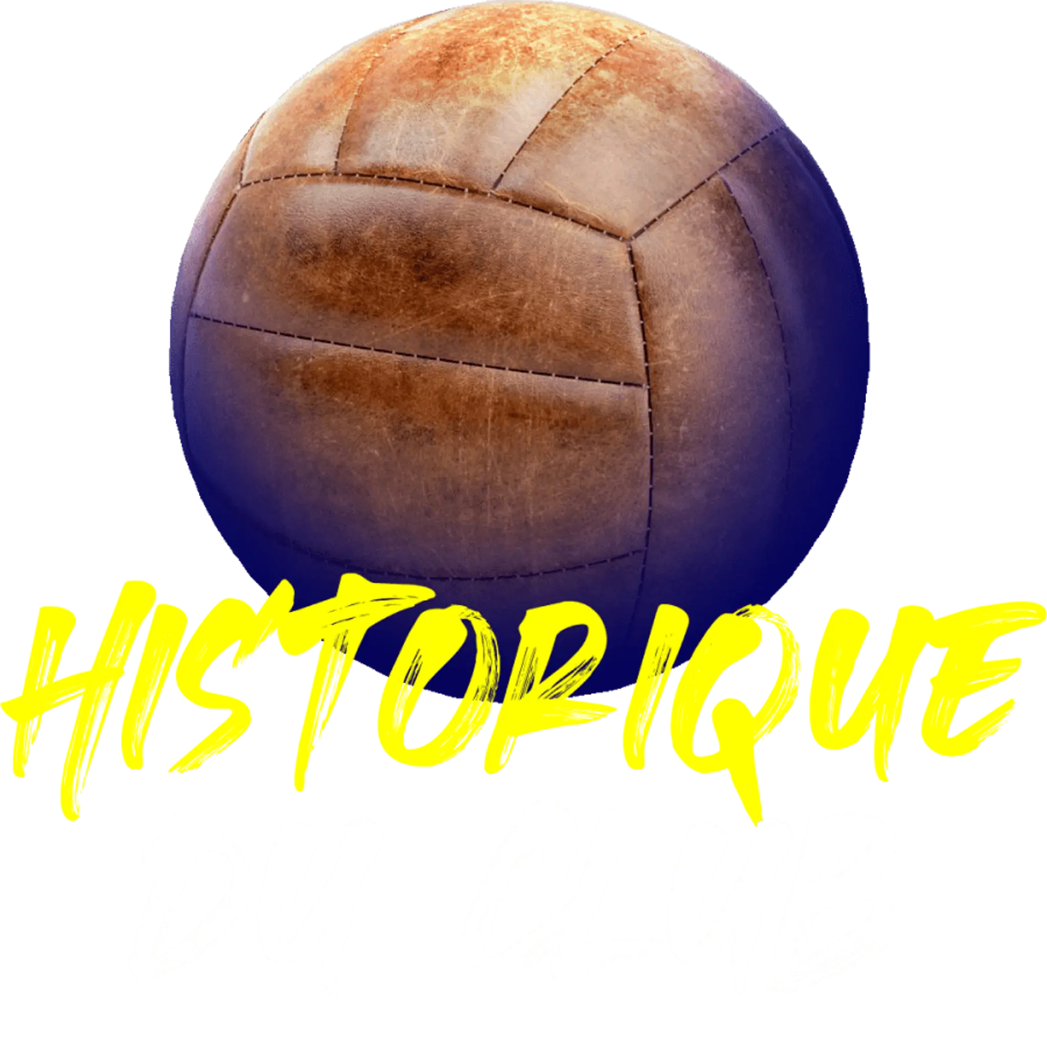 Spacer's Toulouse Volley
