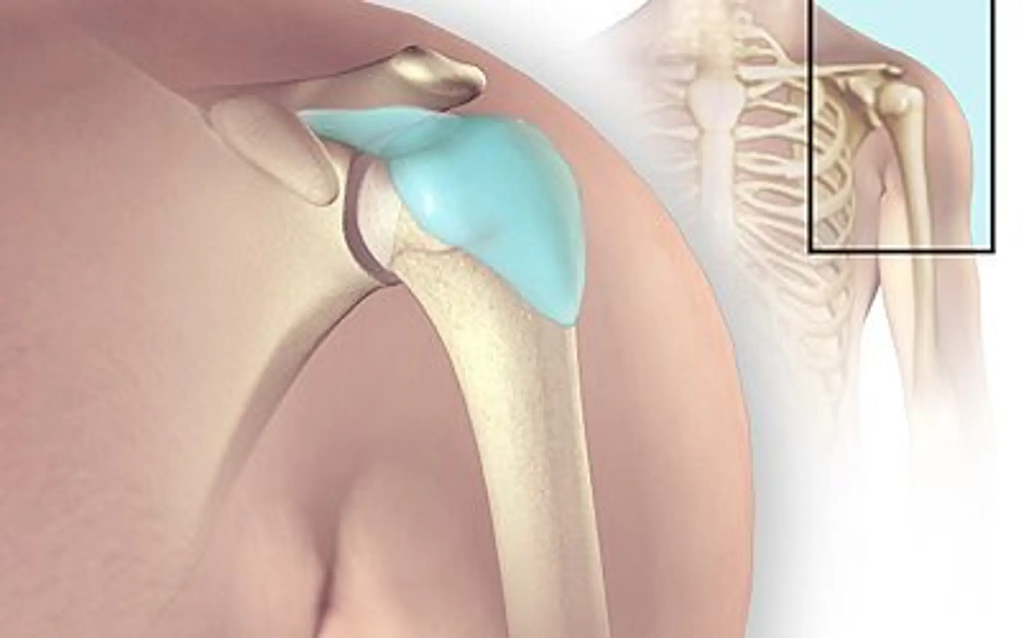 Reactive Health Stratford Physiotherapy