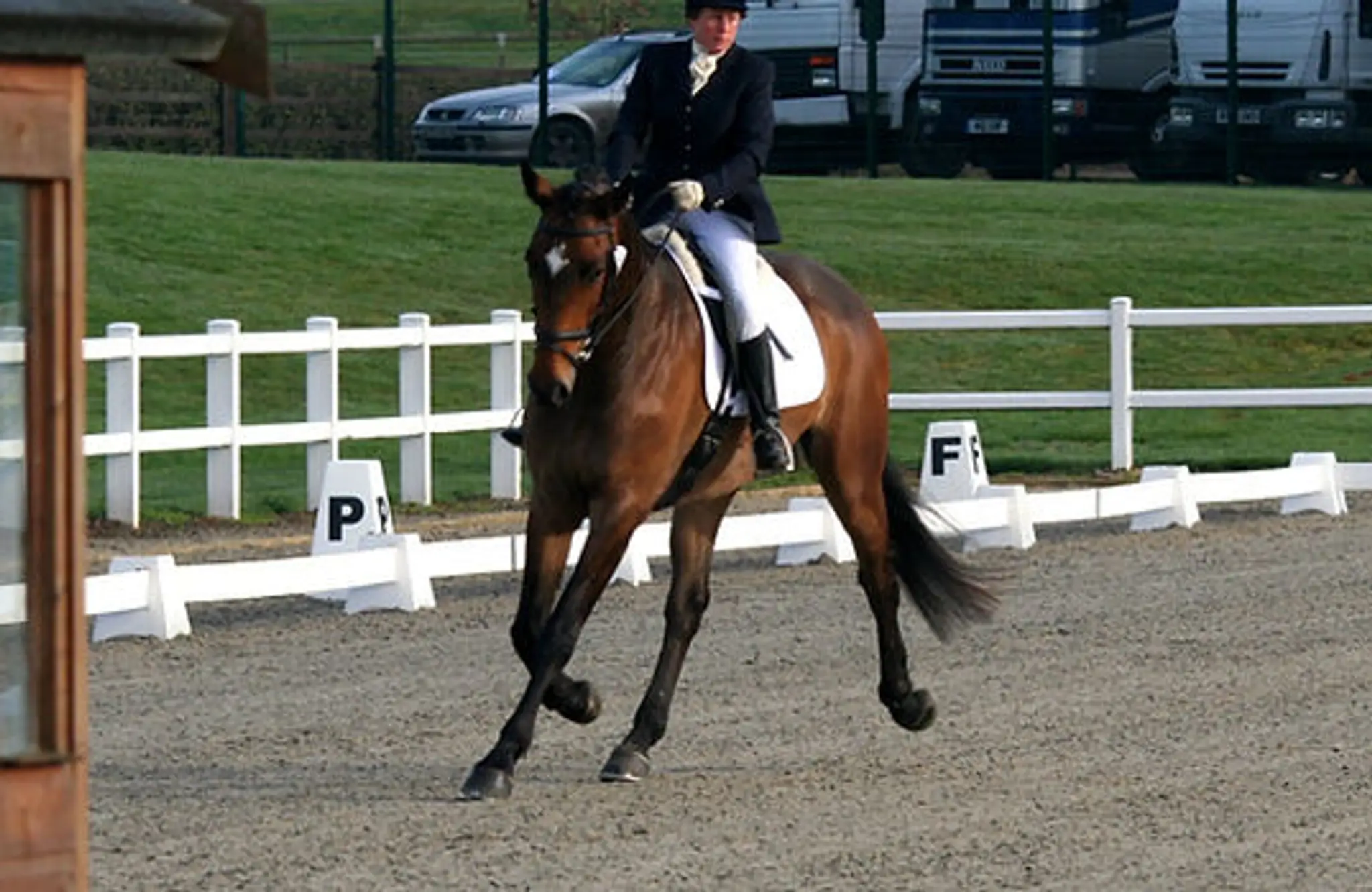 Brocks Farm Riding School and Livery