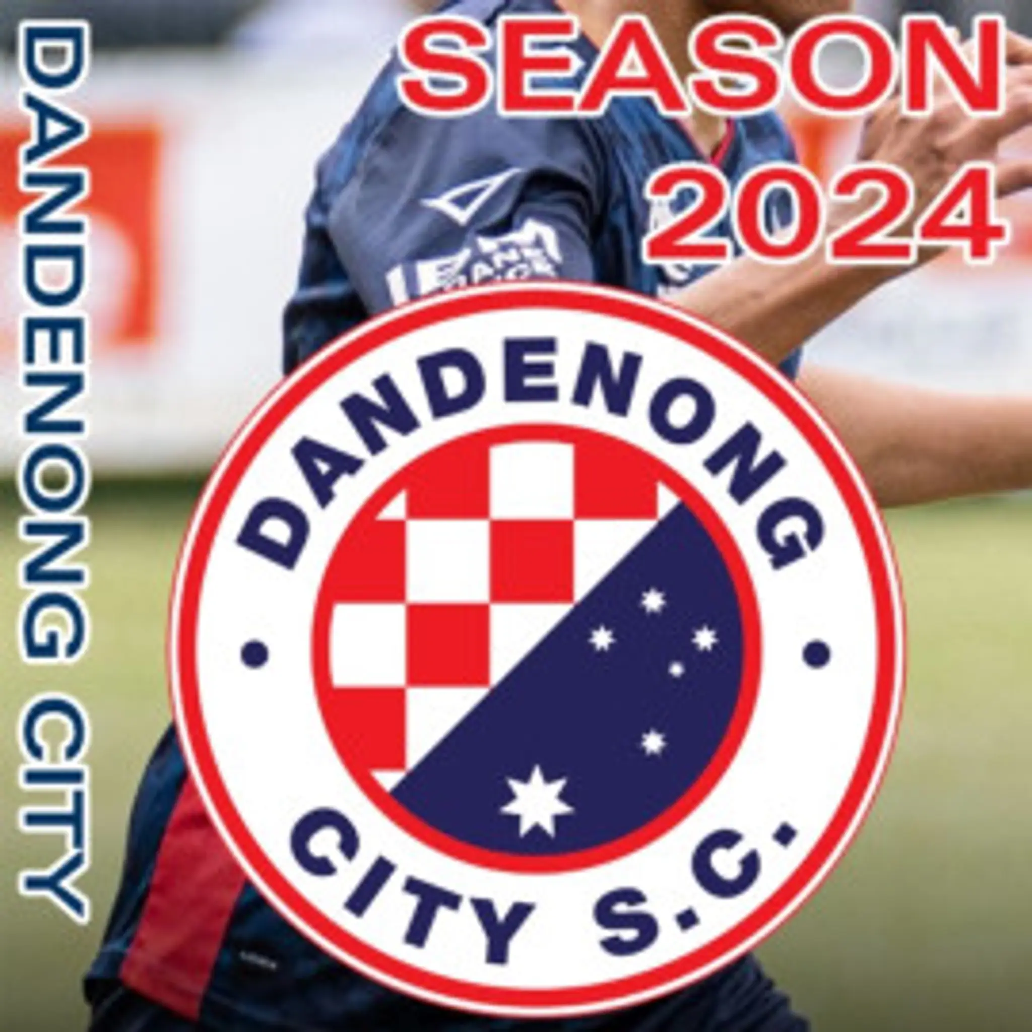 Dandenong City Soccer Club