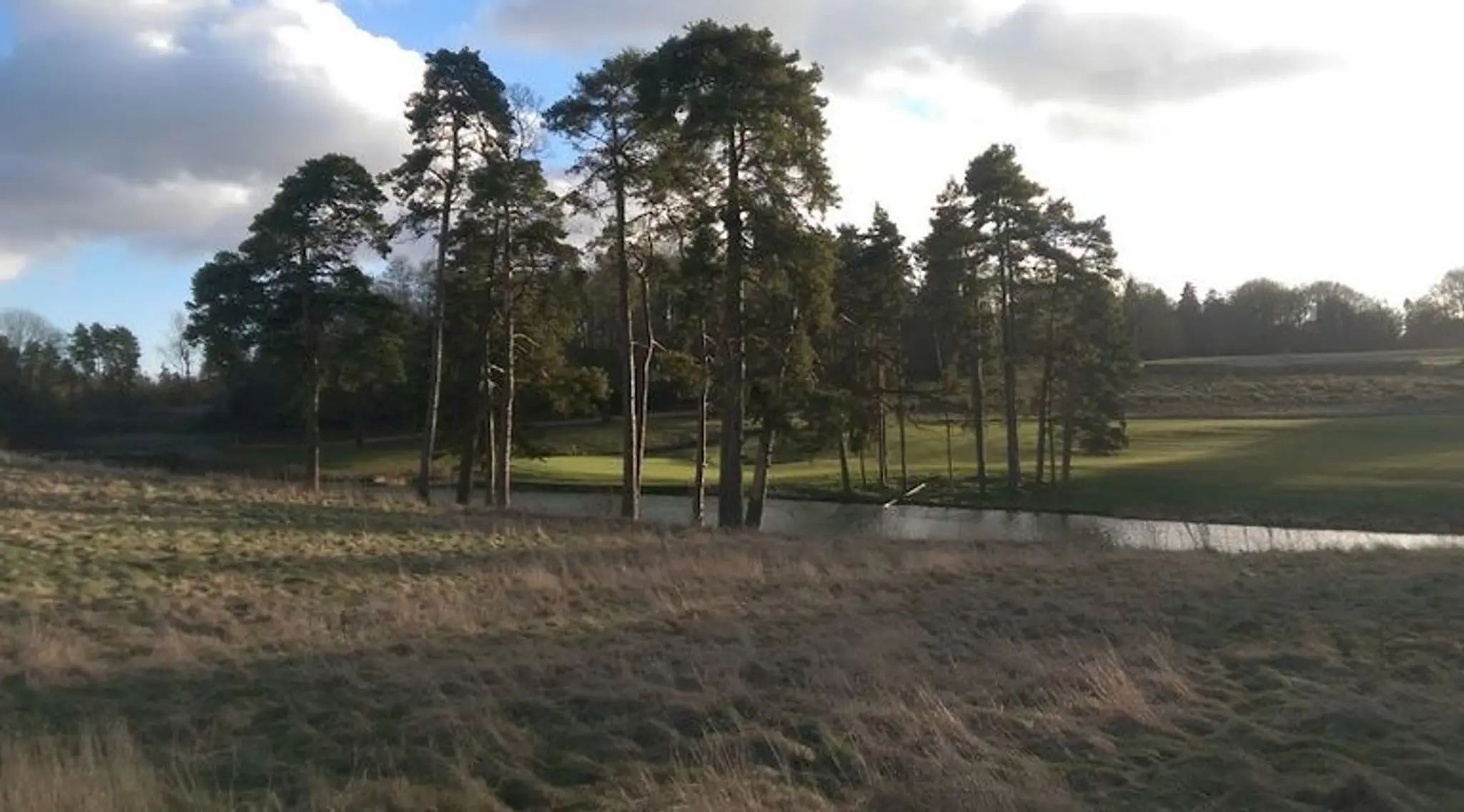 Mathew Cook Level 5 qualified Professional Golf Coach.