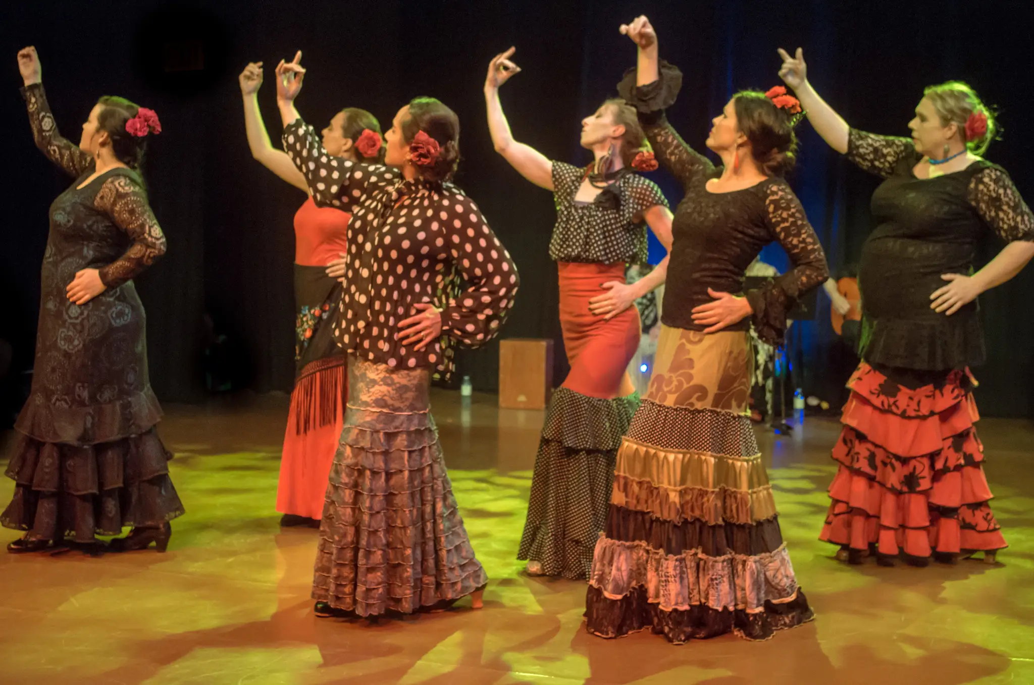 Alma Flamenca, Saskatoon Flamenco Music & Dance