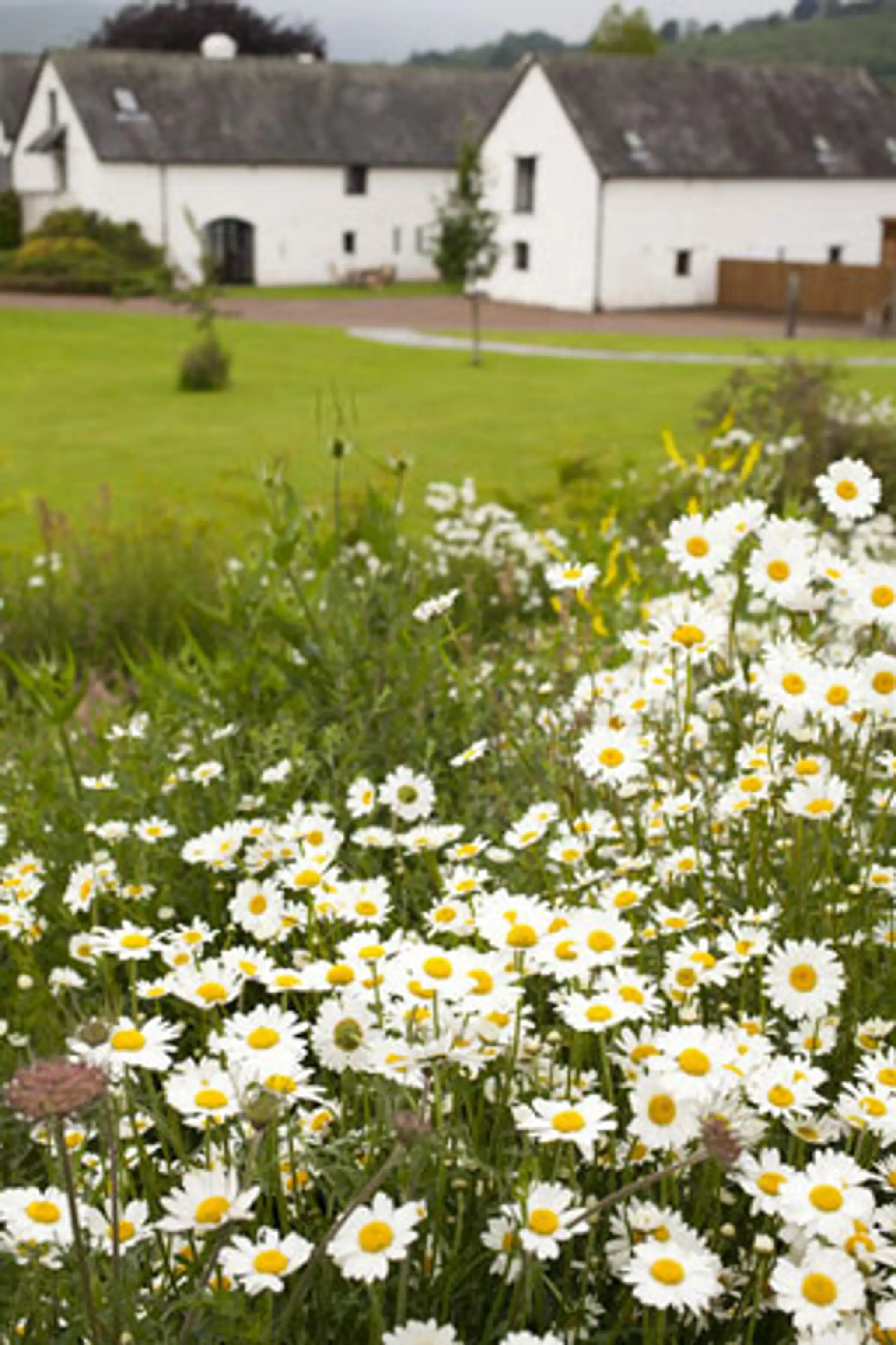 Brynich Holiday Cottages