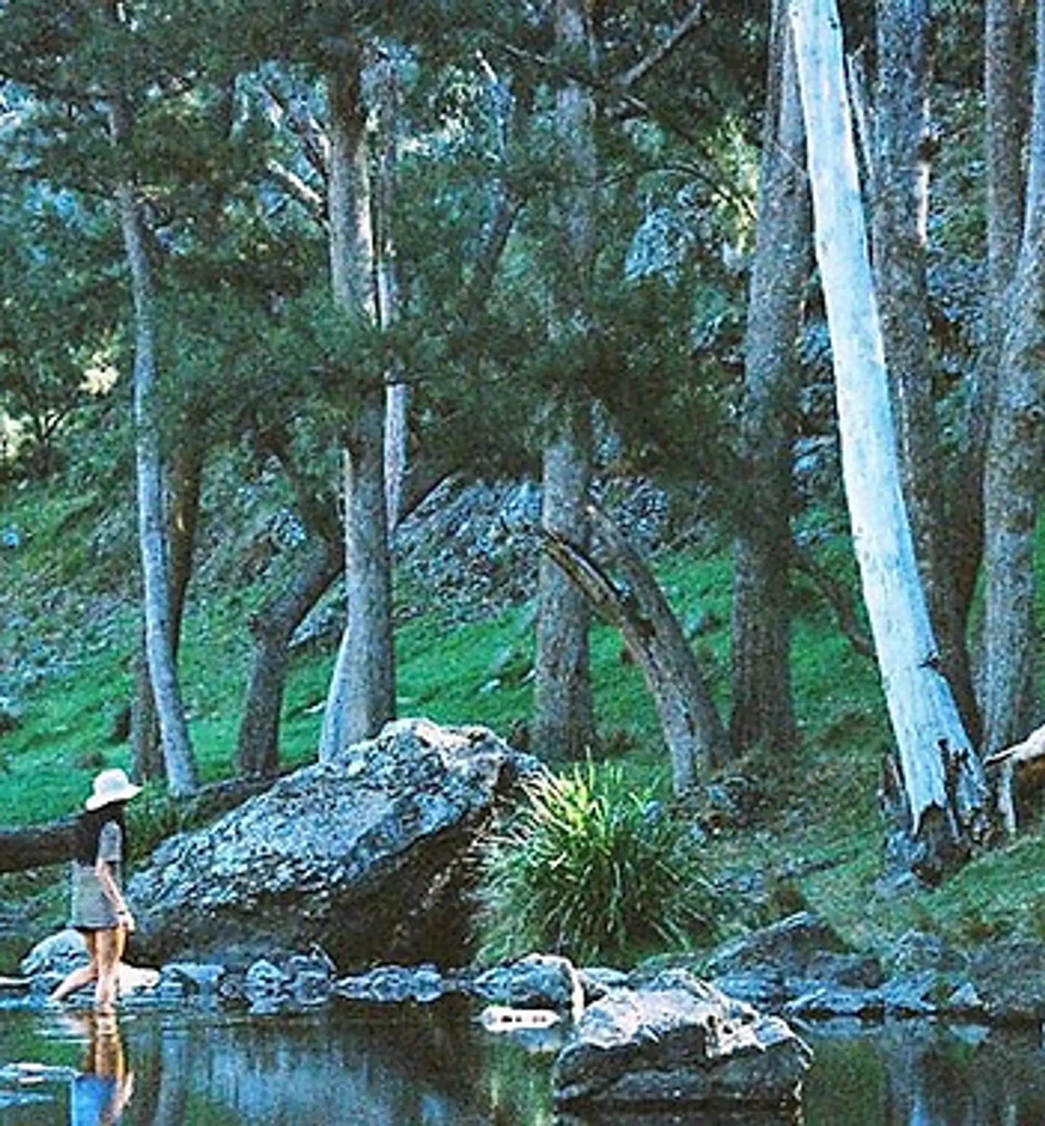 Turon Gates - Mountain Eco-Retreat