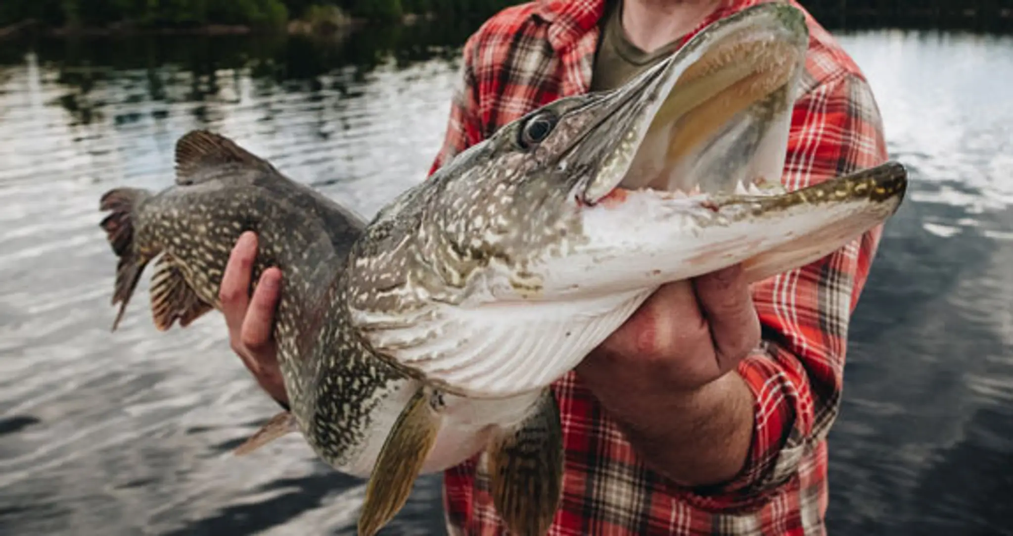 Discovery Lake Lodge and Outpost