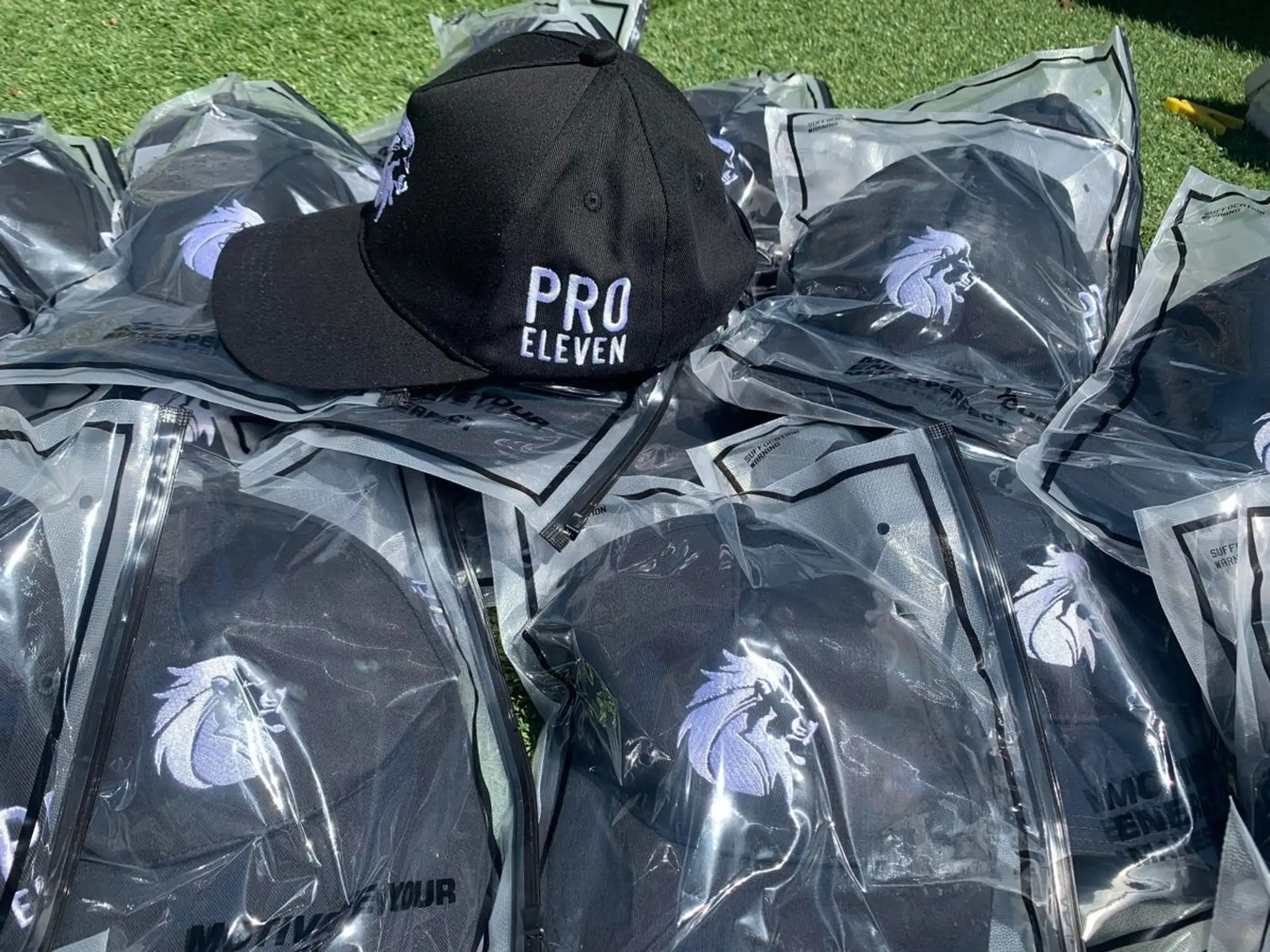 Pro Eleven Football Academy