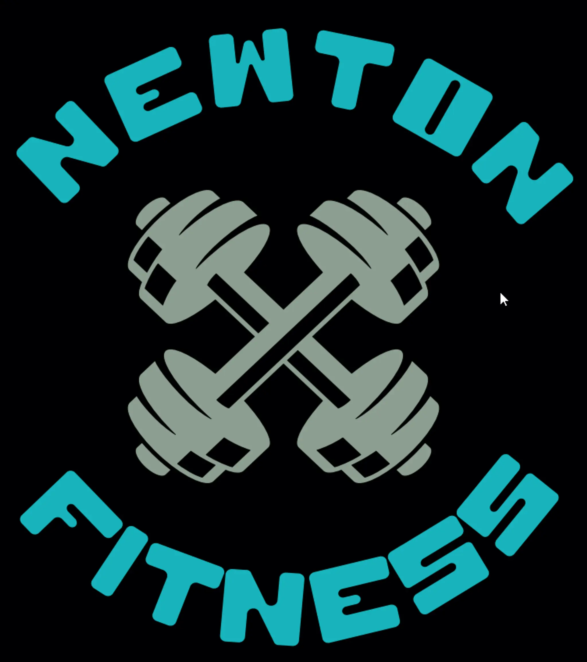 Newton Fitness