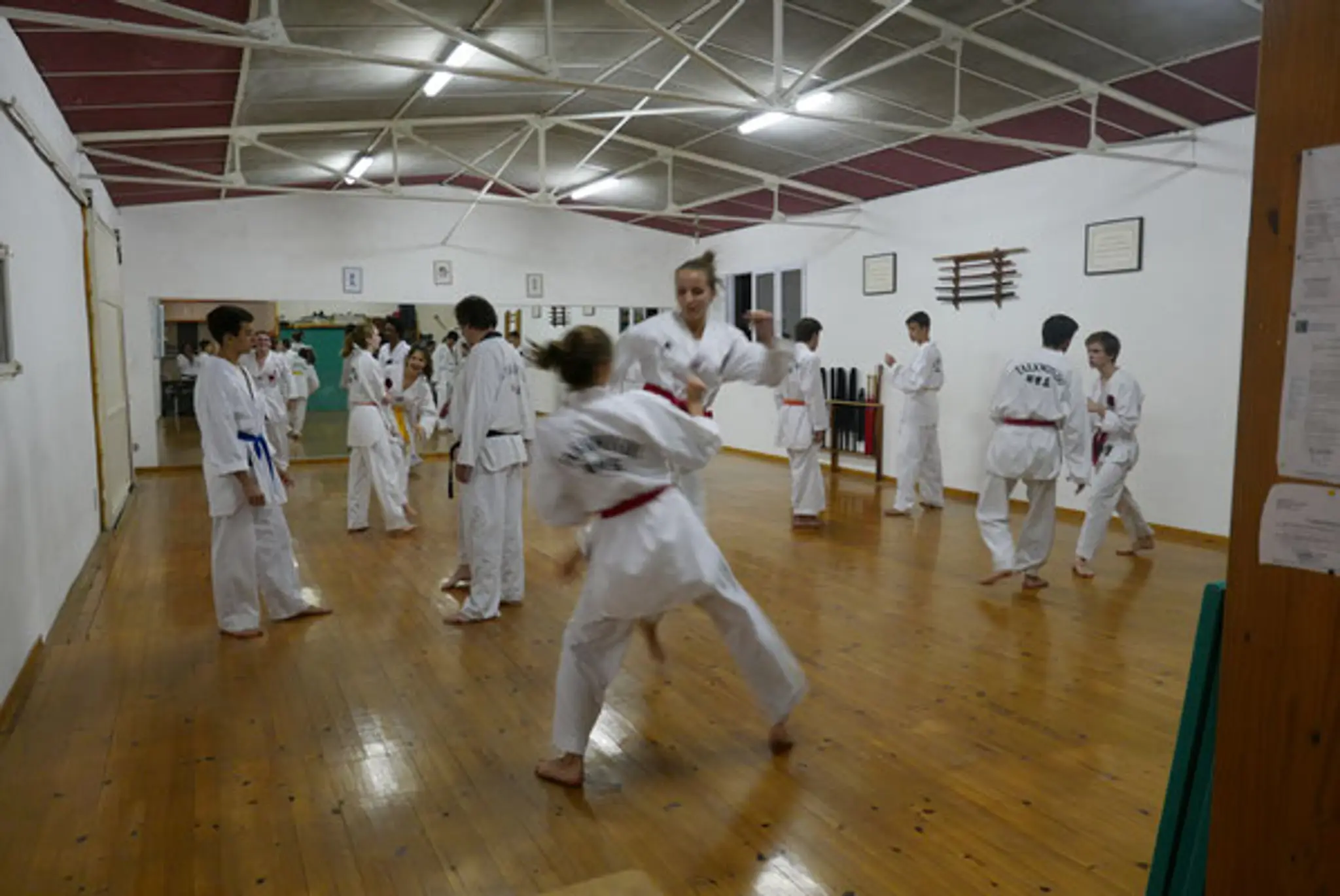 Dojo Expression